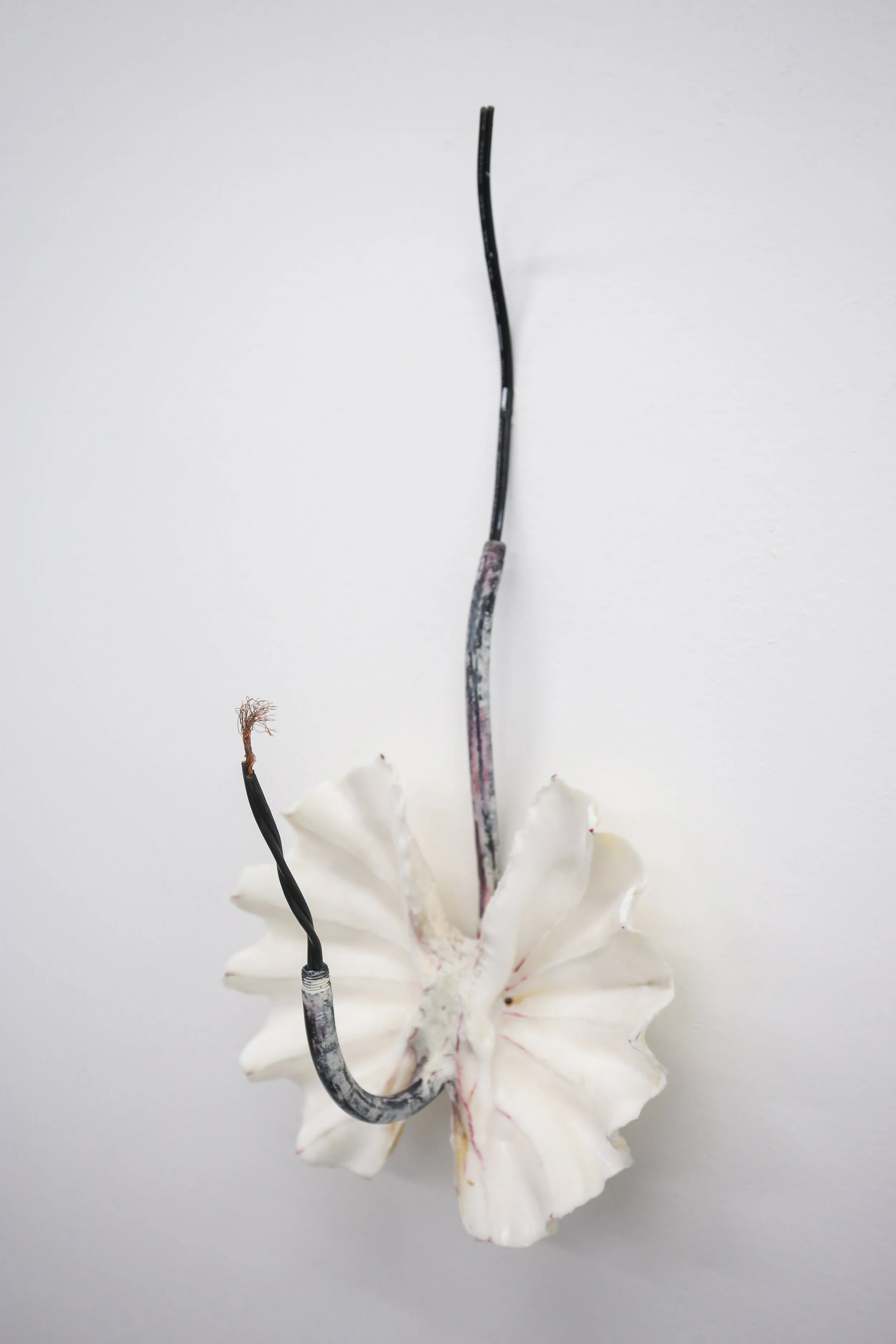 Rustle Installation-37.jpg