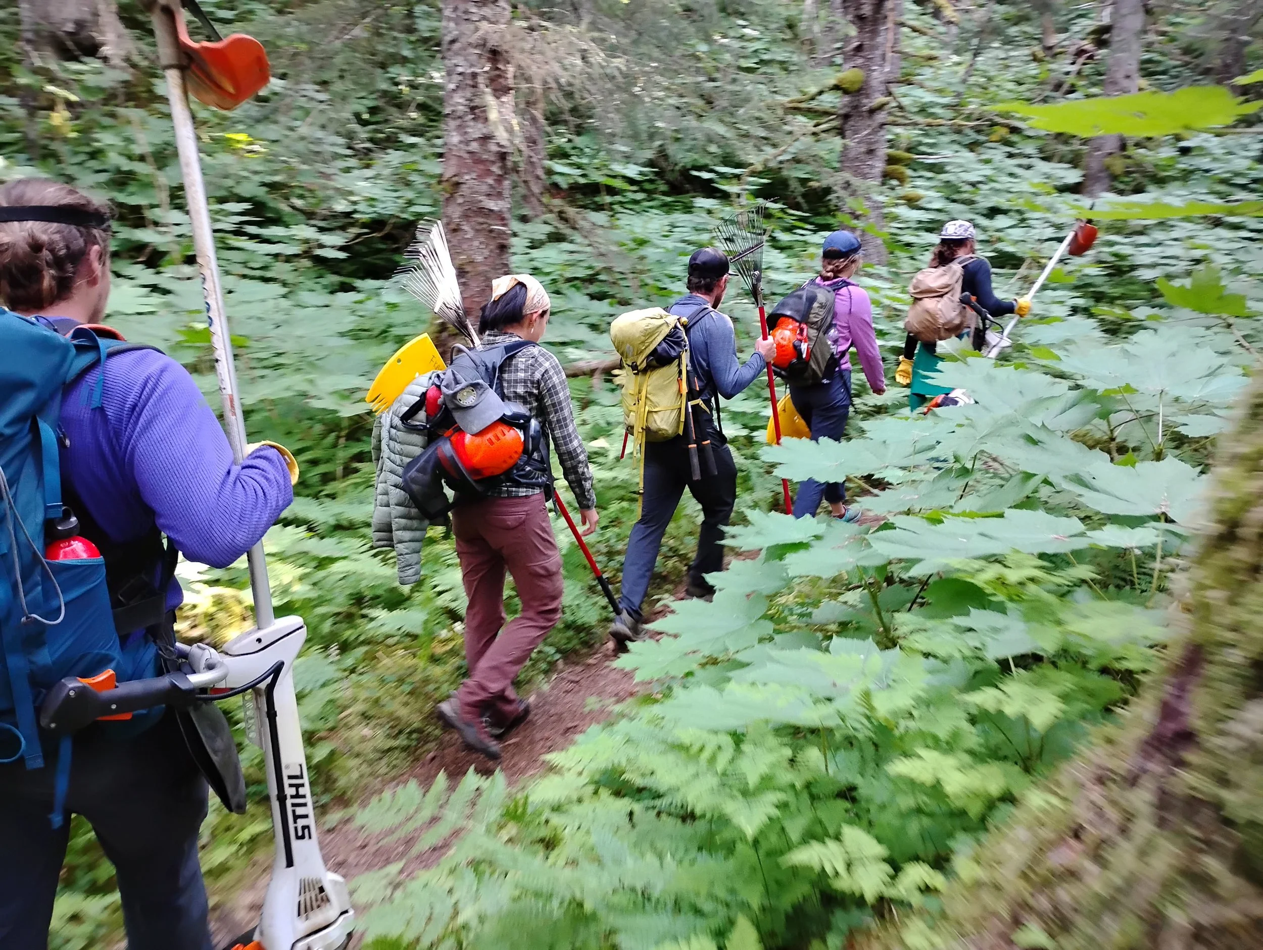 IMG_20250724_095956344 (2).jpg