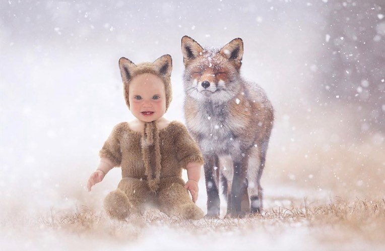 Sometimes the studio is just the start of the creative process. You can get the shot you need here, and then let your imagination run wild - literally!

From studio to wild fox cub, from the imagination of @phoenixandwrenphotography 
.
.
.
.
.
#bunbu