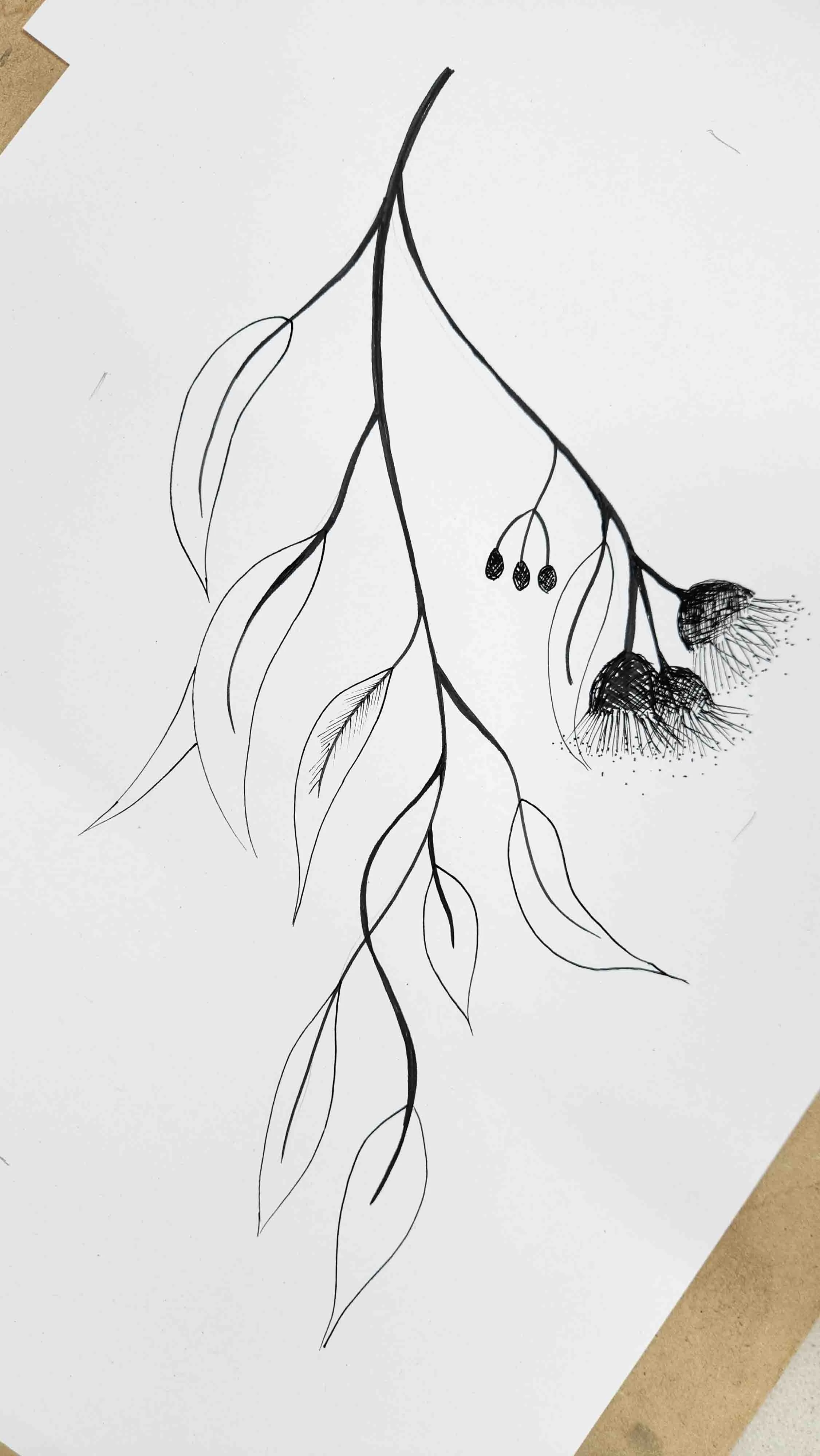 Sketch Drawing Class Children Perth (1).jpg