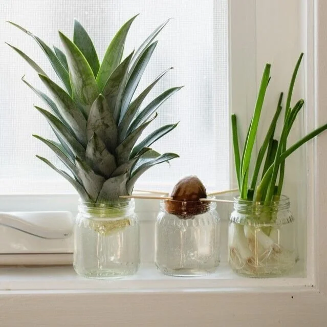 10 Sustainable Things I Do At Home