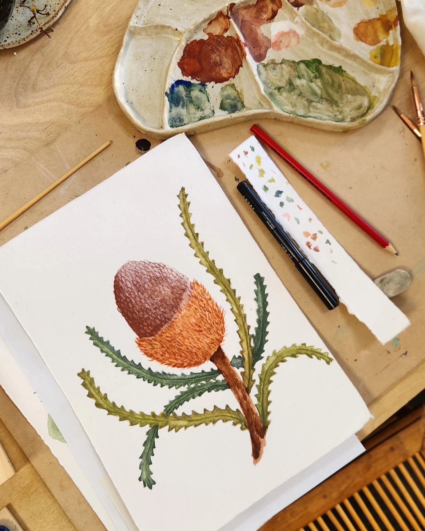 Beautiful banksia 🖌
Painted by a florist of course! @eukafloraldesign did such a good job at her first watercolour workshop 👏 (Also some orchids from another participant 😍)

If you have always wanted to try watercolours, now is the time! 

Worksho