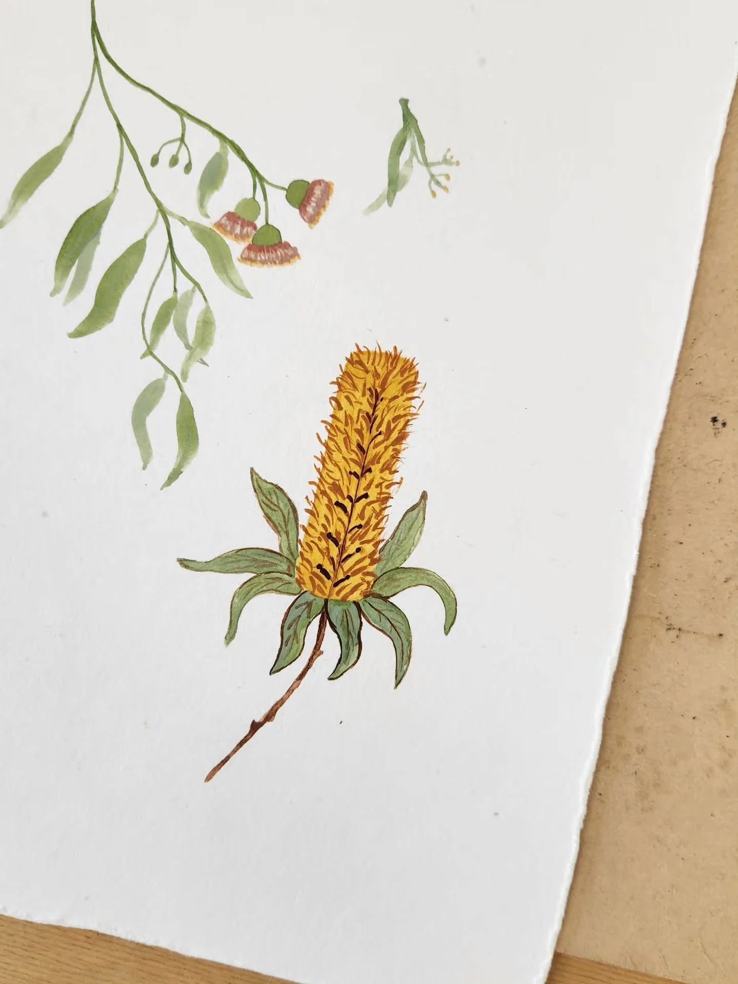 Sustainable Watercolour Workshop 🌏🖌 is happening this Saturday morning in Subiaco! Join us as we learn how to paint botancial Australian flowers 🌸 

&quot;But I can't paint, and I am not creative....&quot;
is something you might be saying to yours