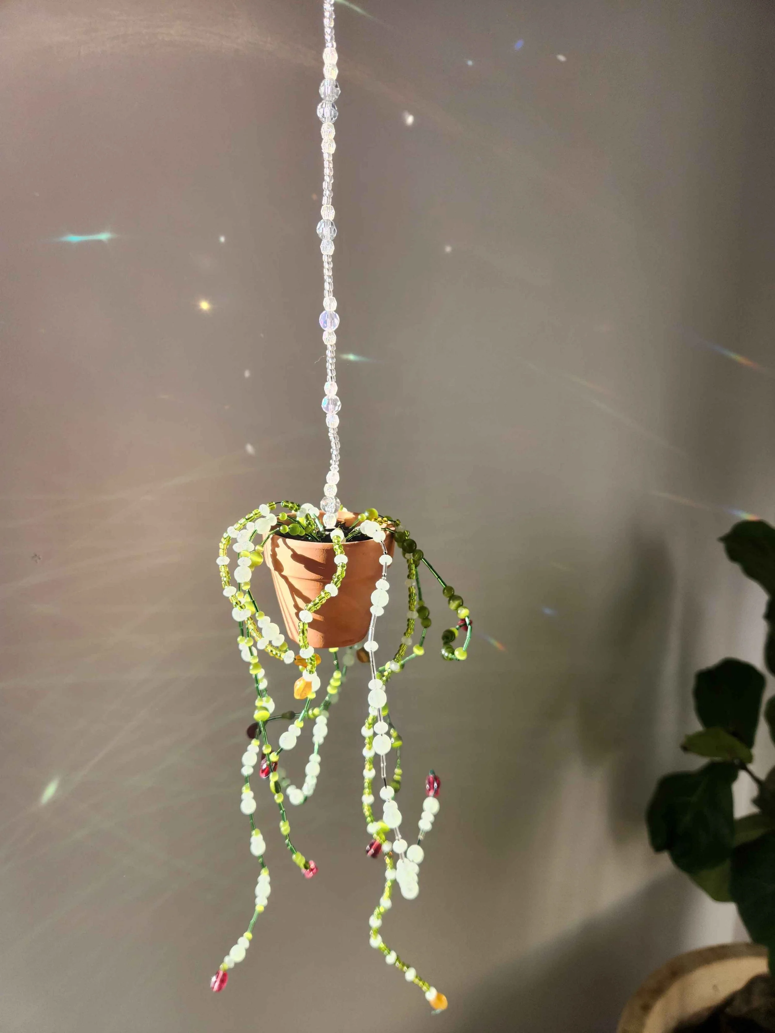 Matcha Ceremony - Beaded Pot Plants - PERTH WORKSHOP (12).jpg