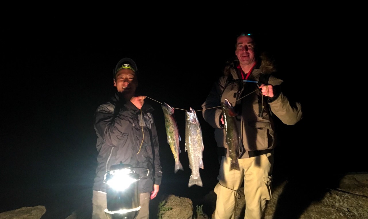 Night time is the right time for the bite time