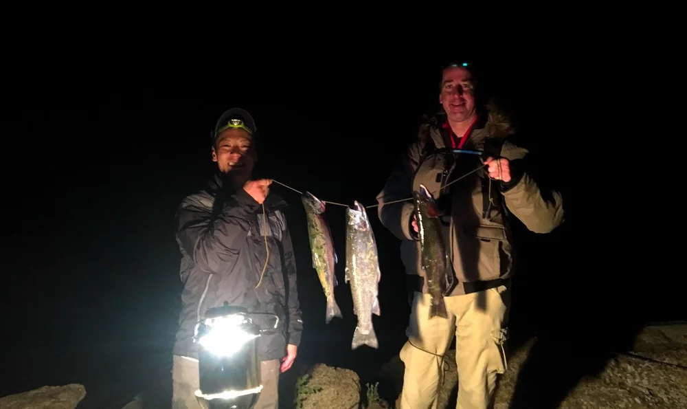 Night time is the right time for the bite time