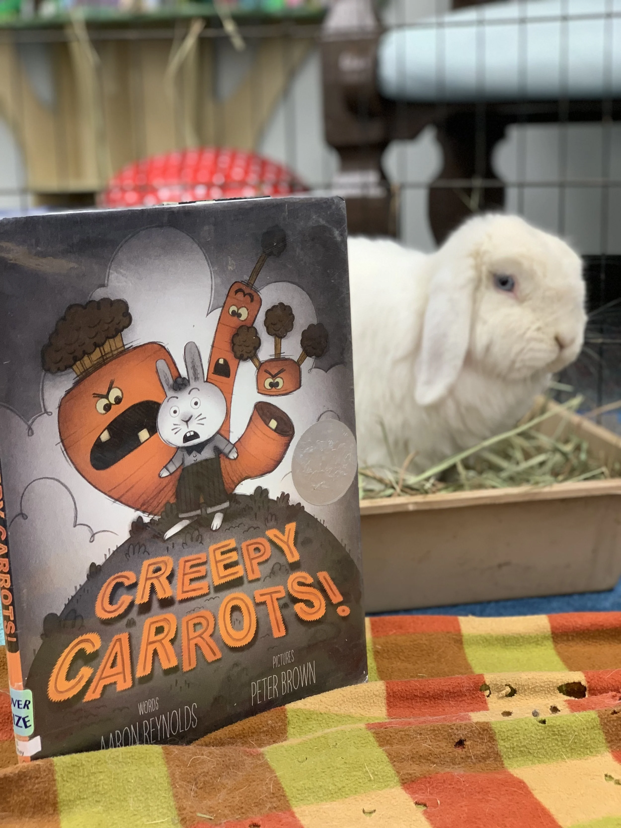  Trick or Read- Bunnies n Books>>Halloween Style!!!