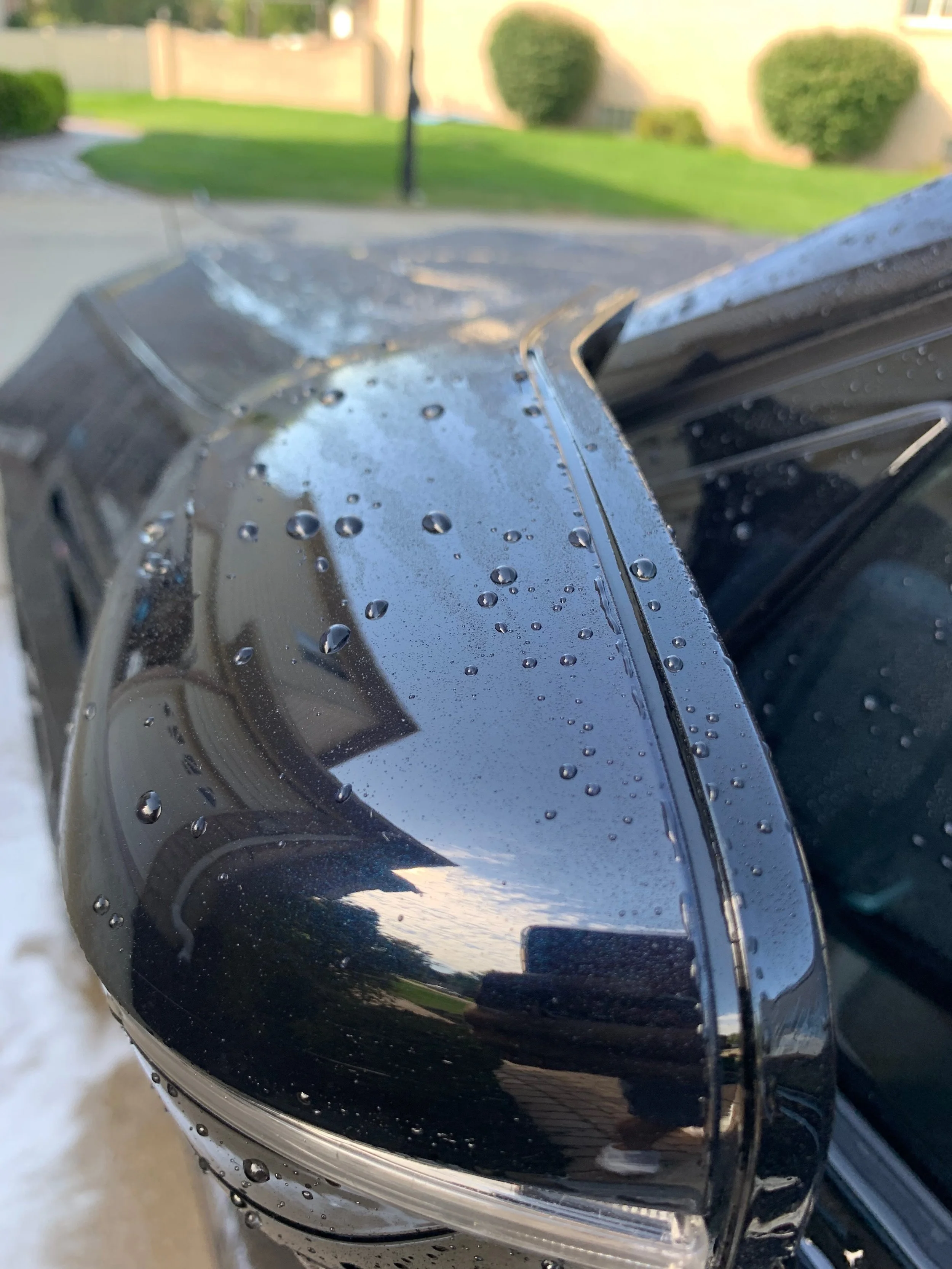 M5 12 months after lucid coating 2.JPG