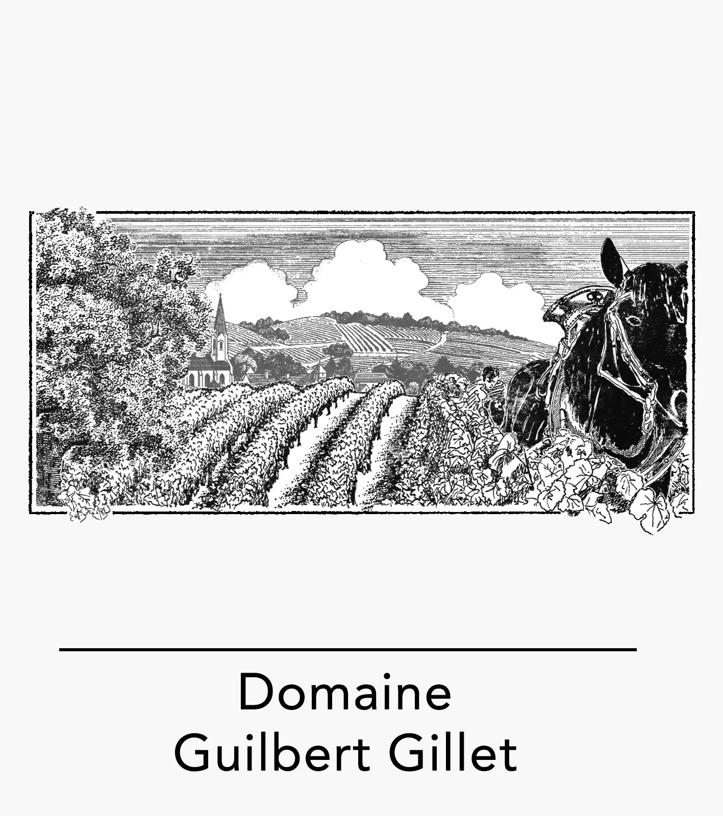 profil-website-guilbert-gillet.jpg