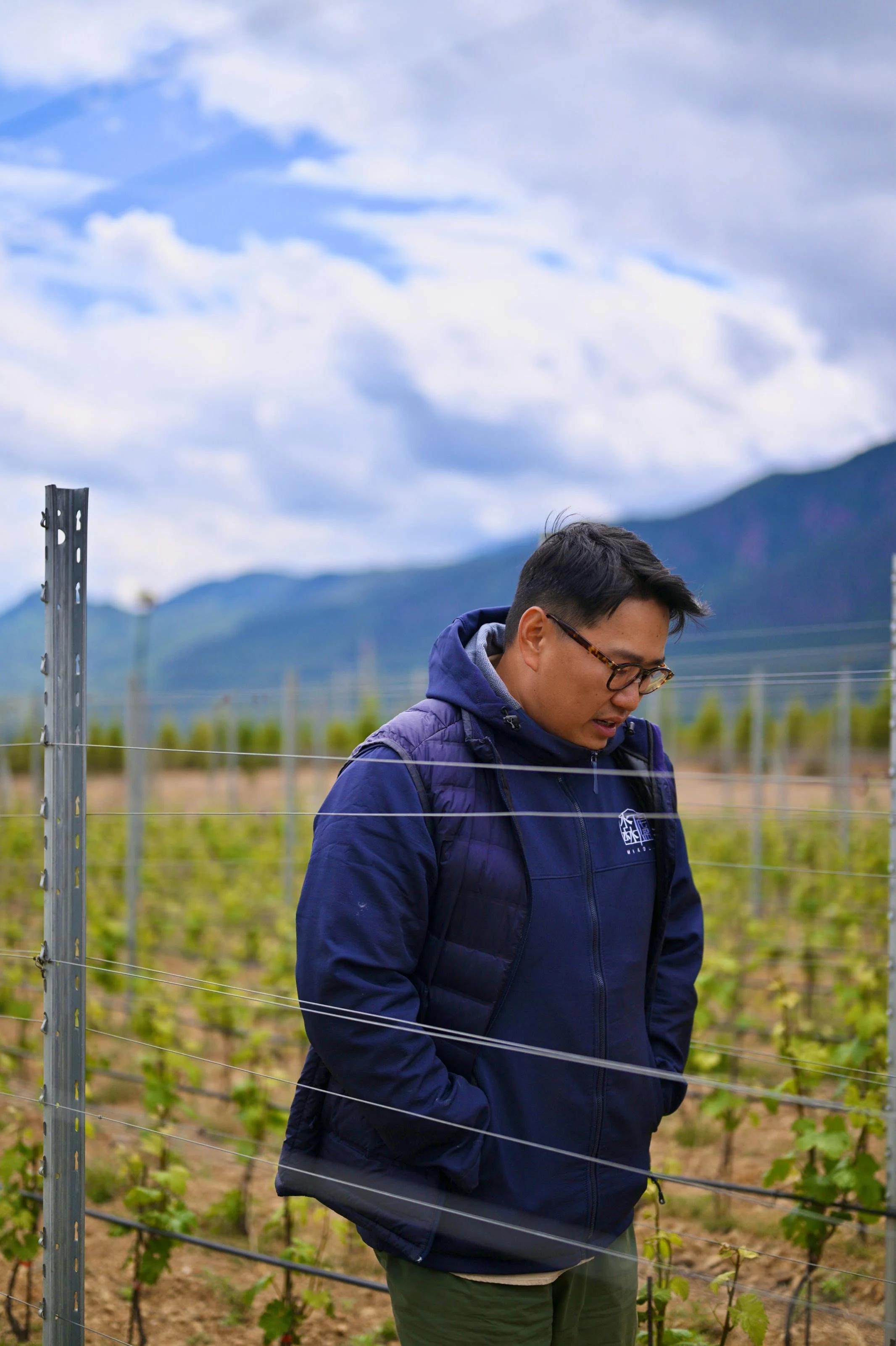 Miaolu_Alex_Xu_profile_chinese_wine.jpeg