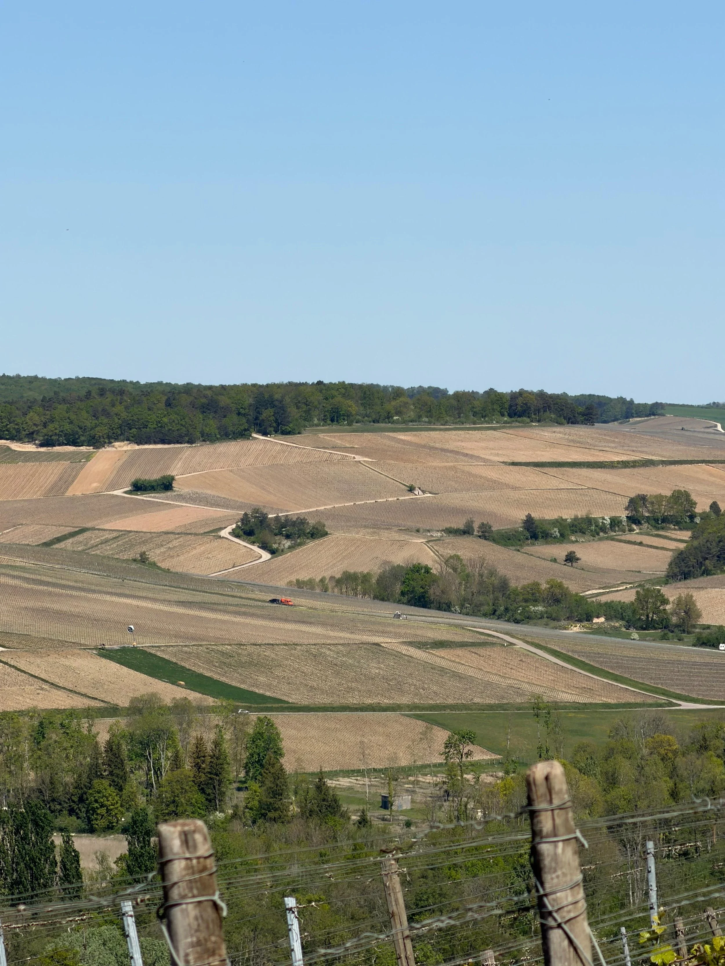 Pierre_Gerbais_Celles_Sur_Ources_vineyards.jpeg