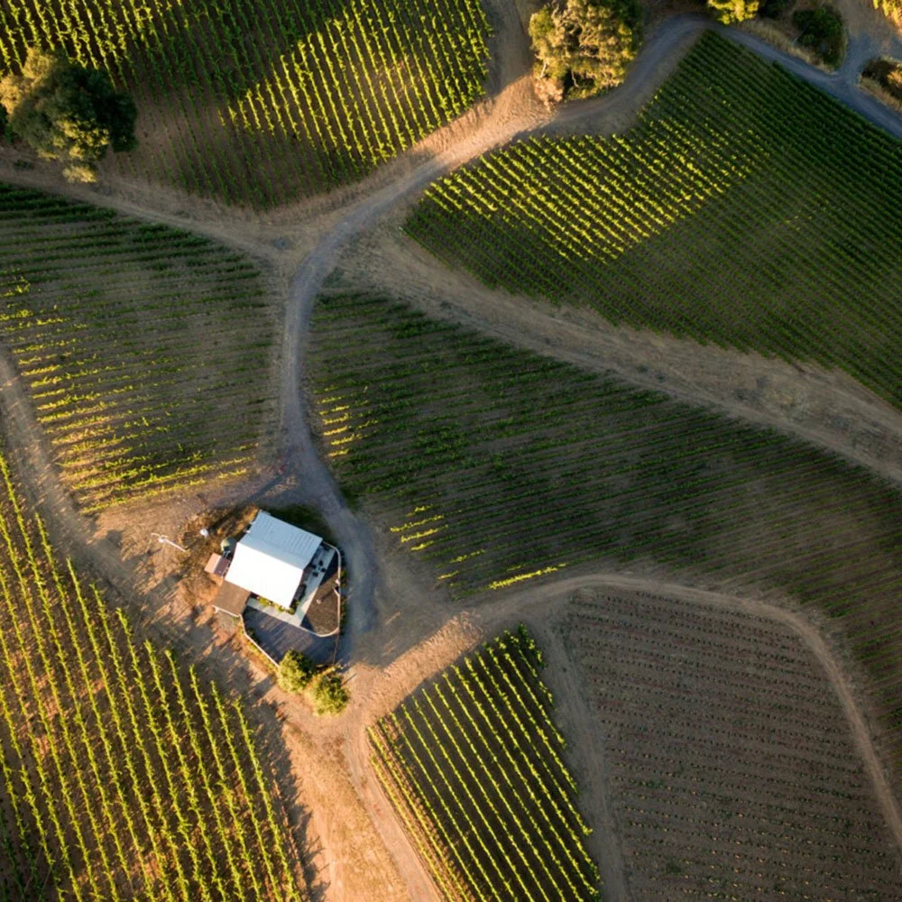RHYS_bearwallow_Vineyard.jpg