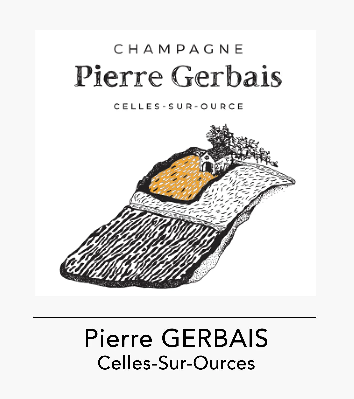 profil_website_pierre_gerbais.jpg