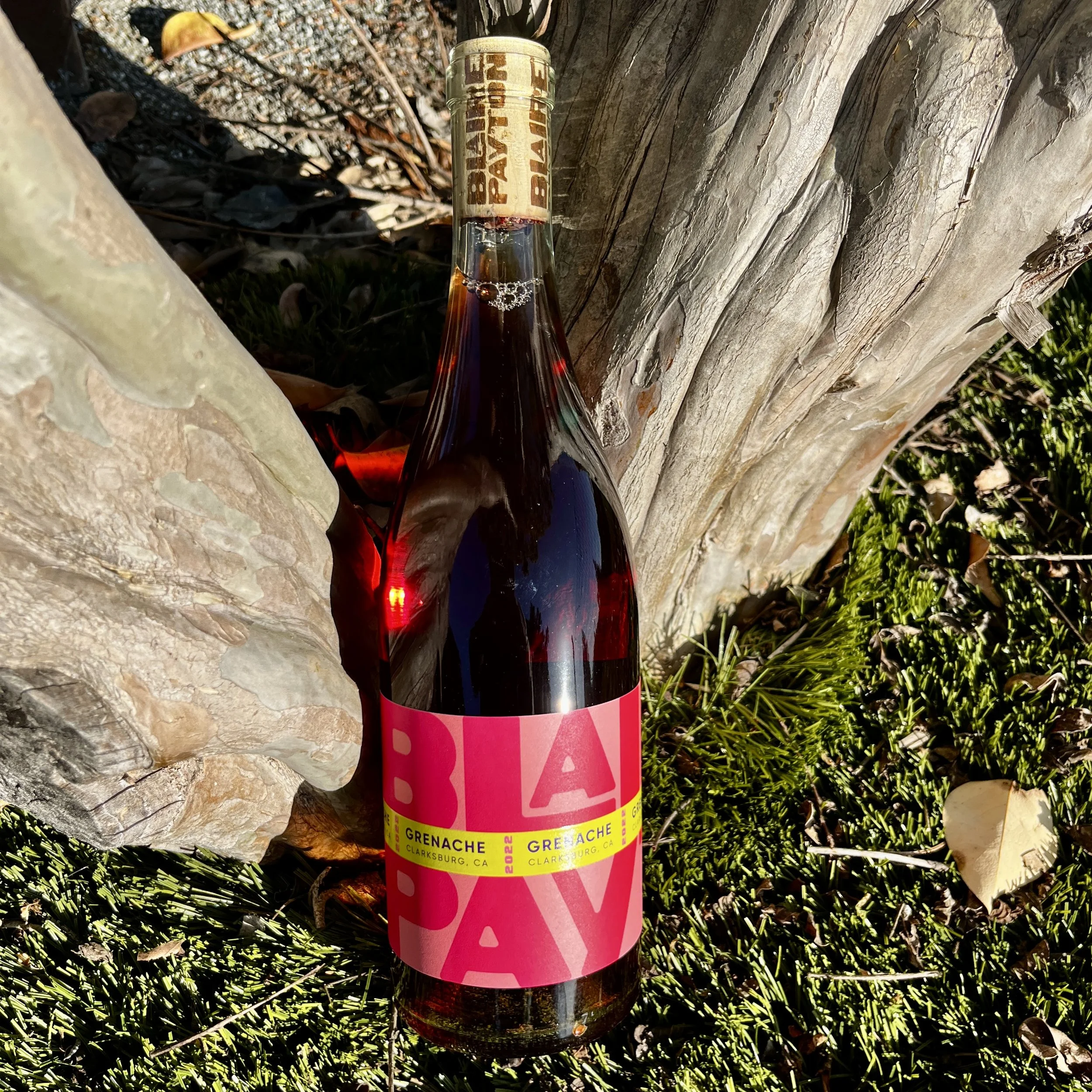 2022 Blaire Payton Grenache