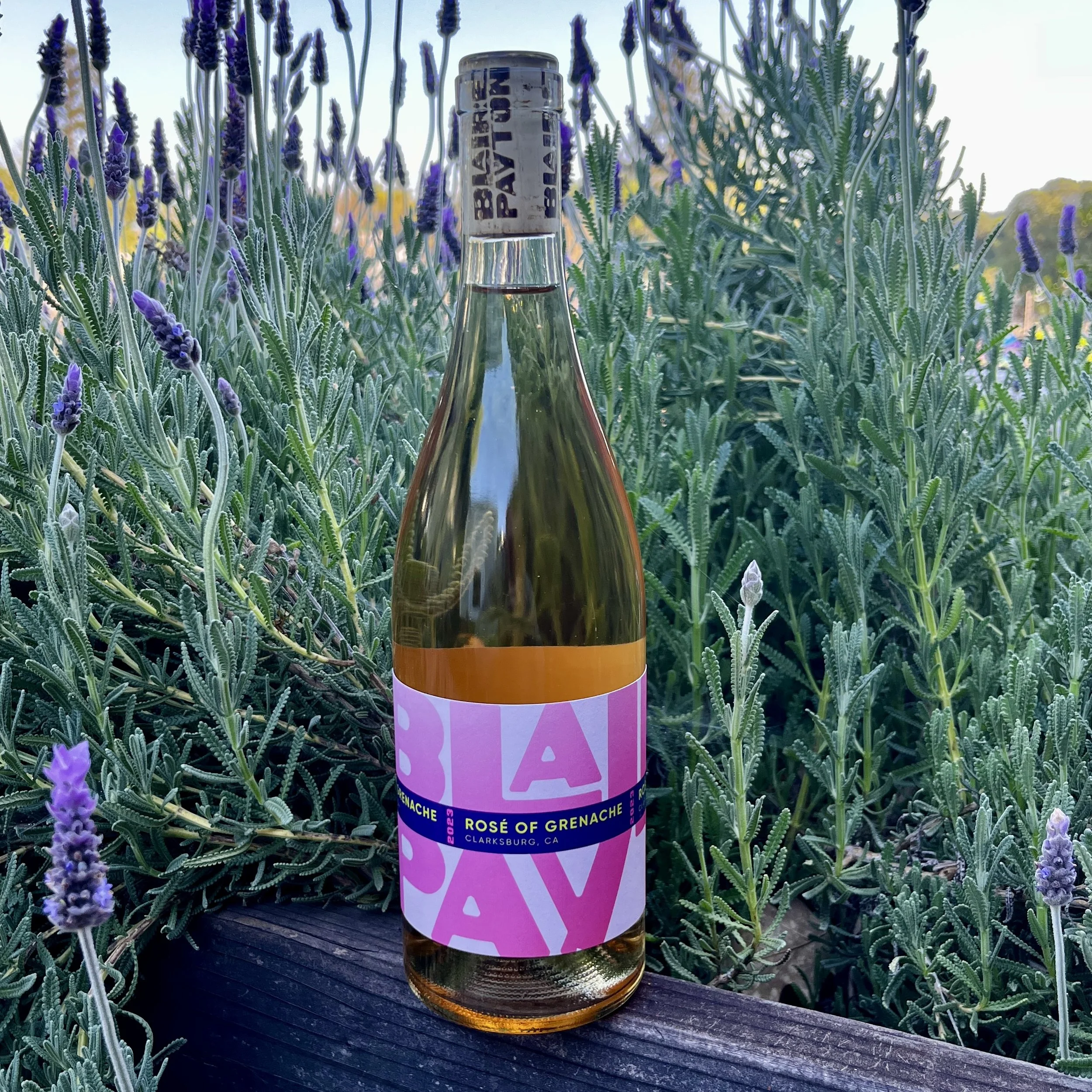 2023 Blaire Payton Rosé of Grenache