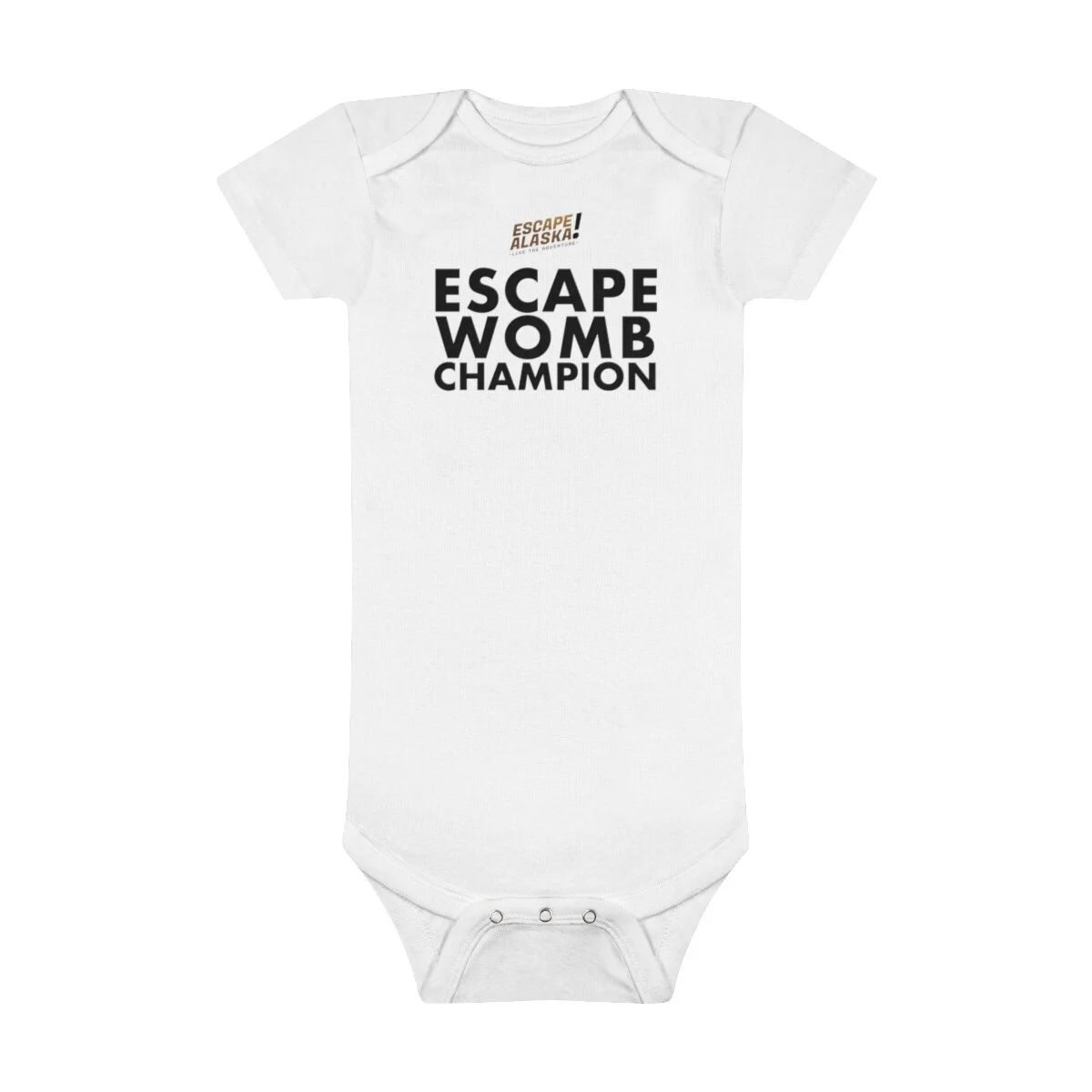 79b2115acccf4123882b5a3fef9a95ed