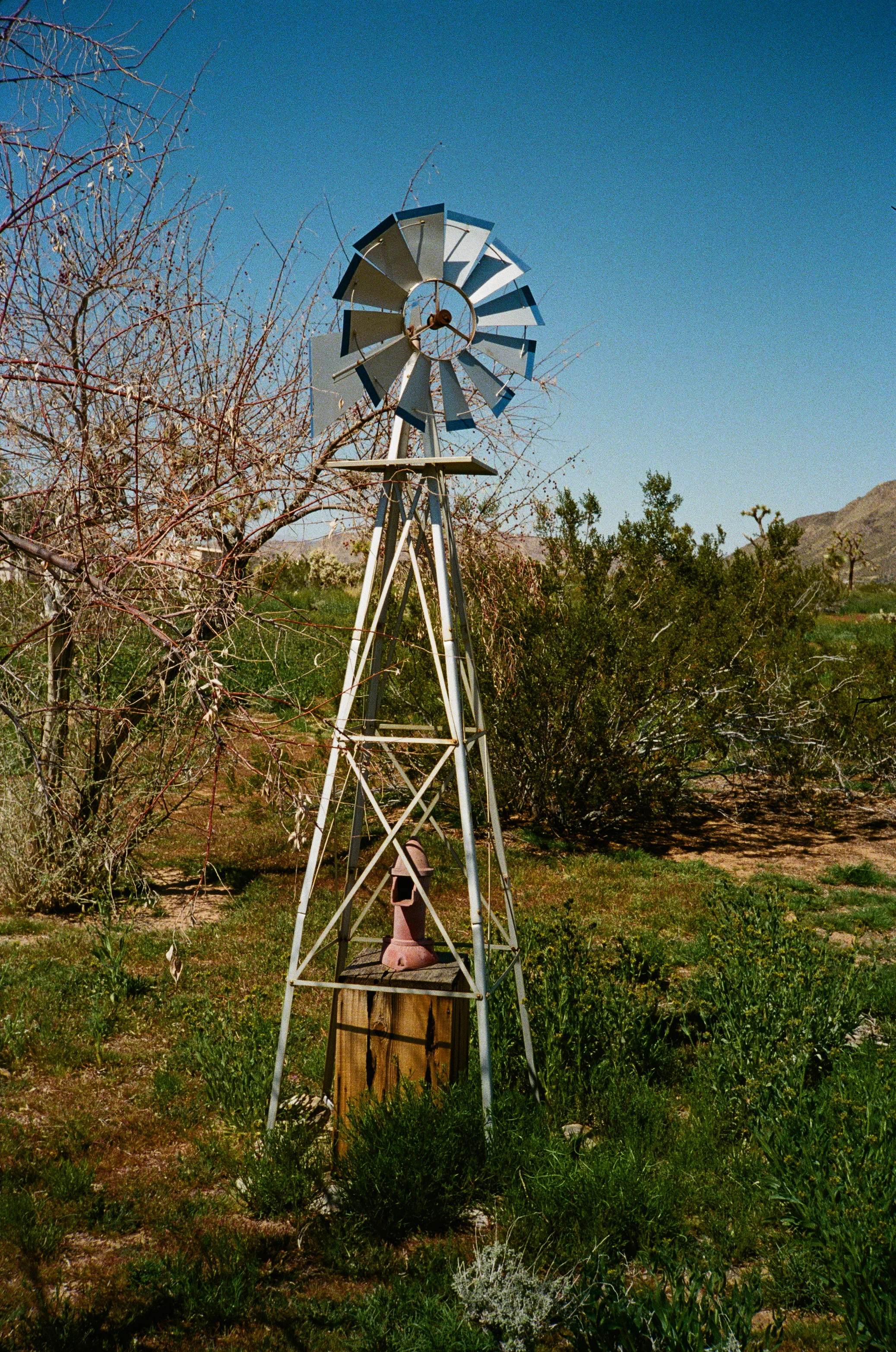 000016400029.jpg