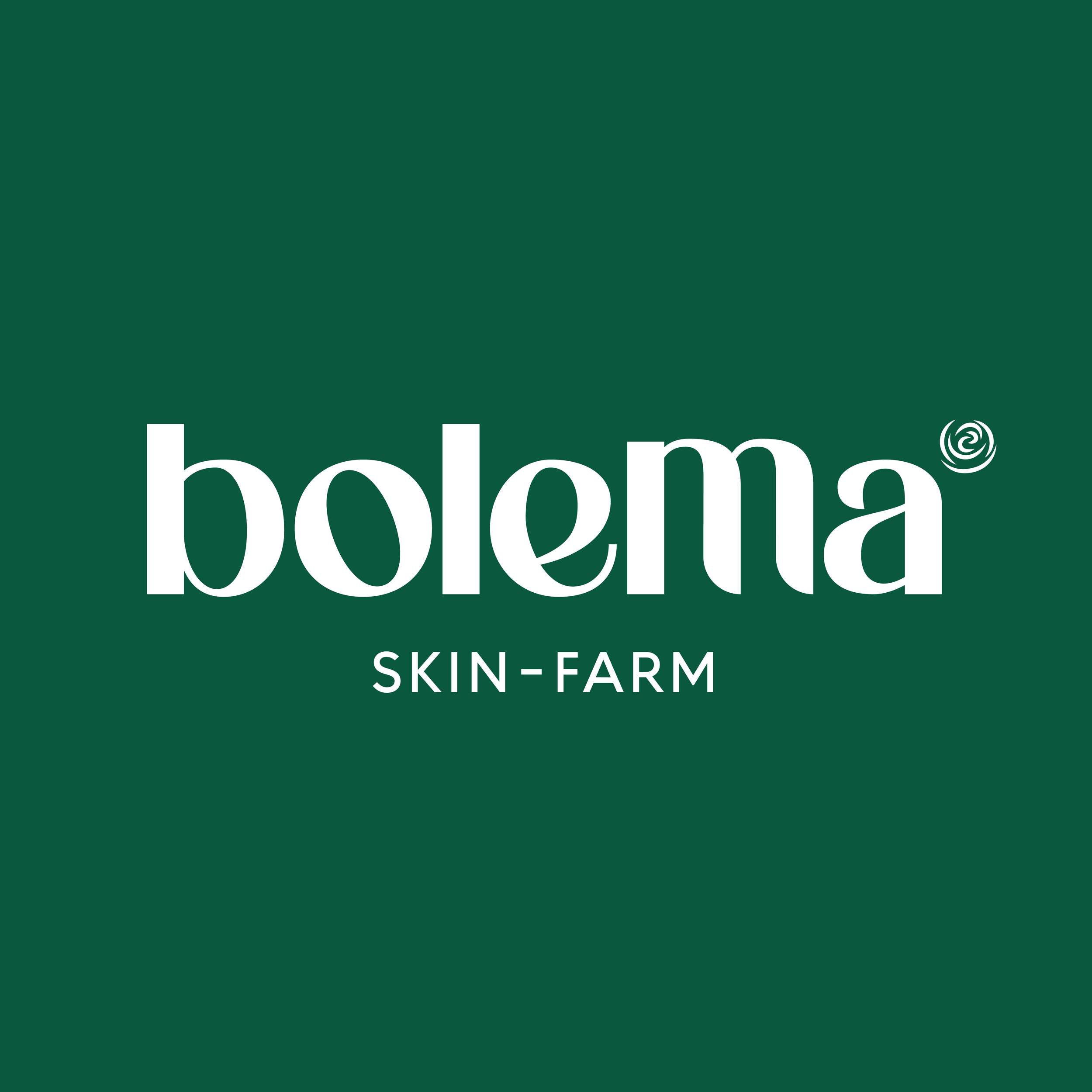 Bolema Logo-03.png