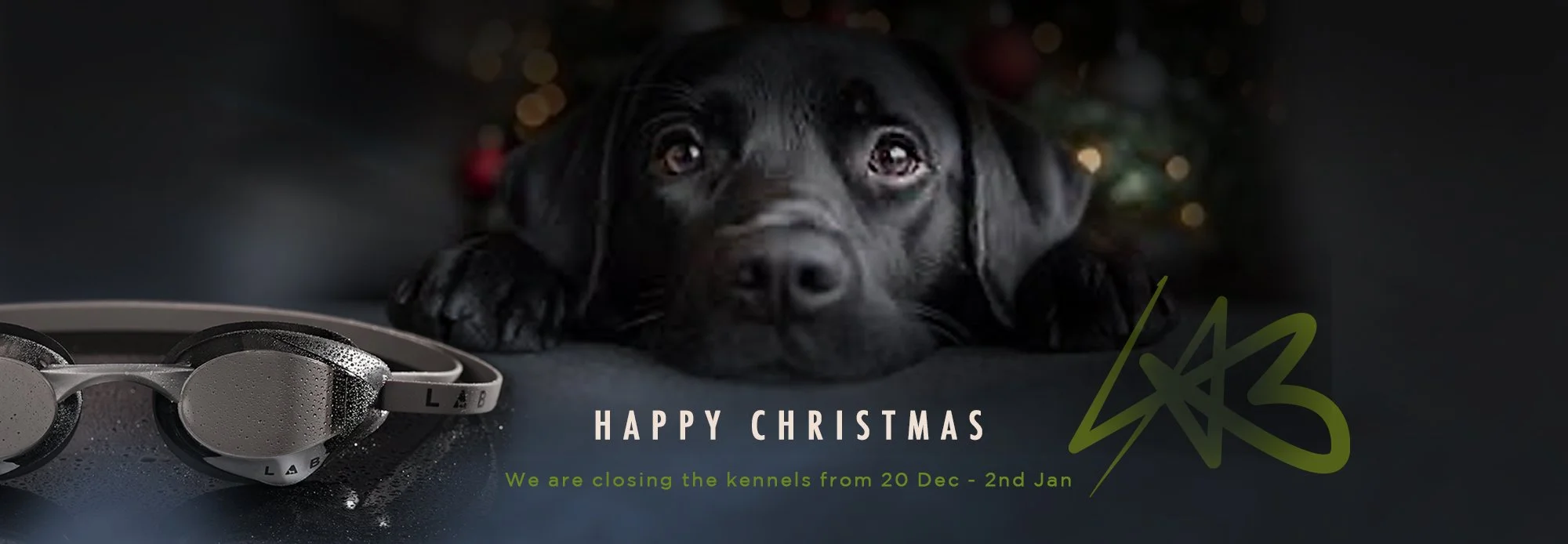 banner-xmas2024.jpg