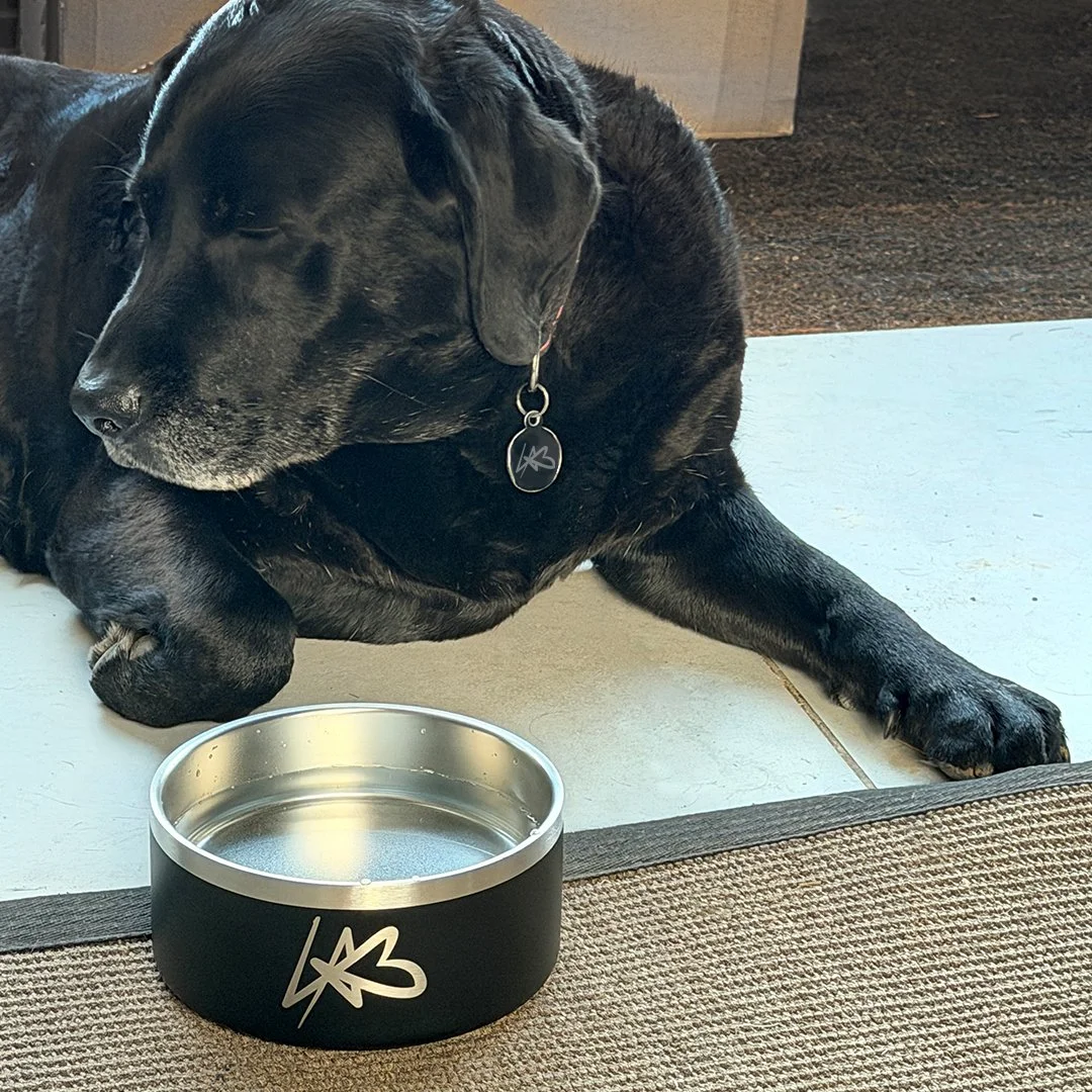 LAB-DOG-BOWL-lola.jpg