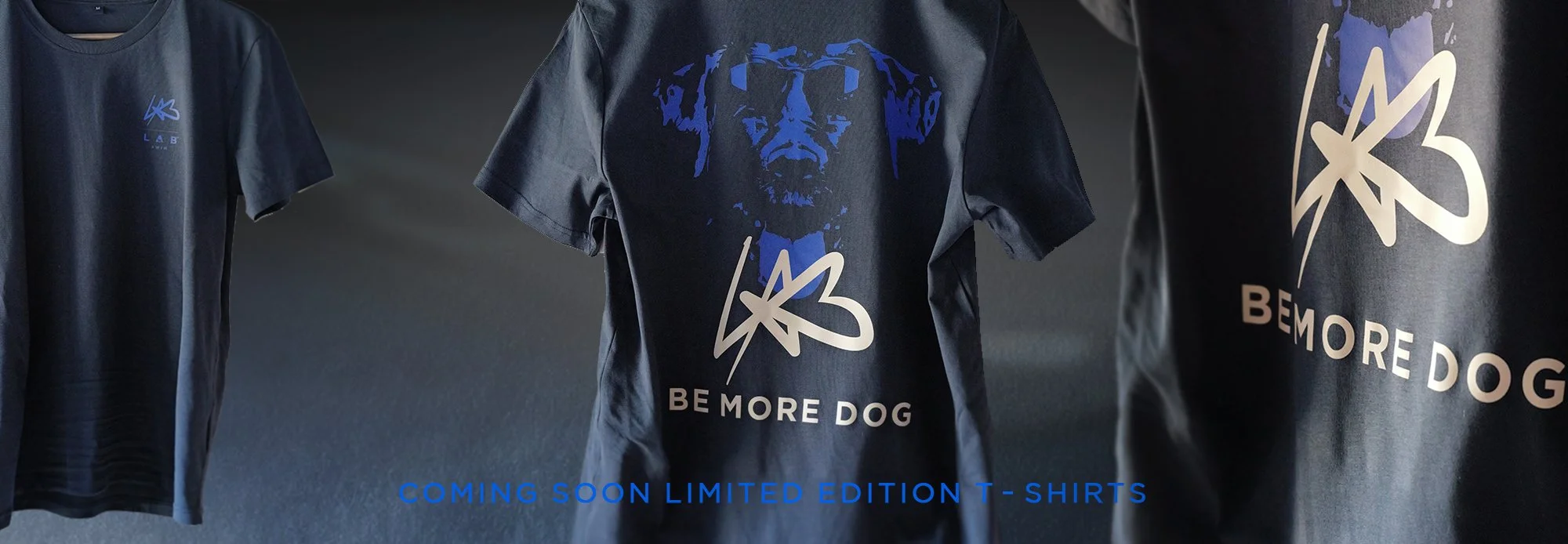 BeMoreDogBanner.jpg
