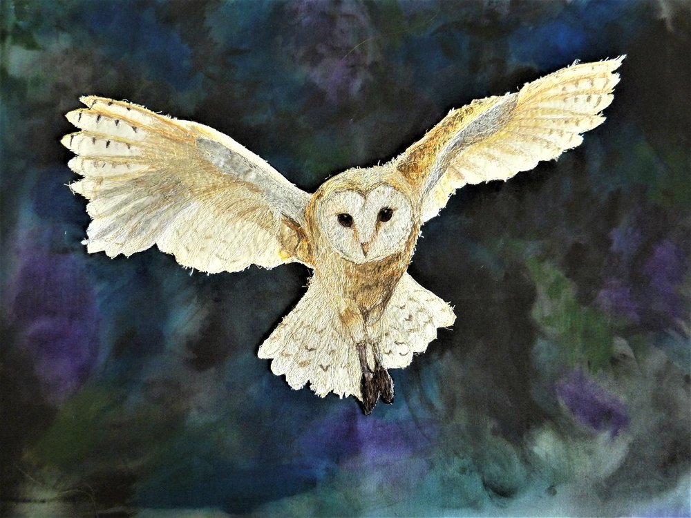Barn Owl in flight.JPG