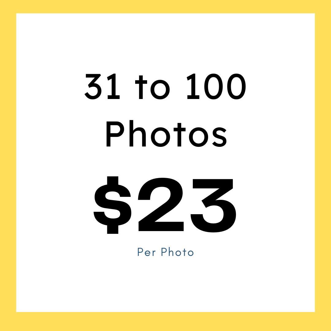 31+to+100+23$ Per Photo