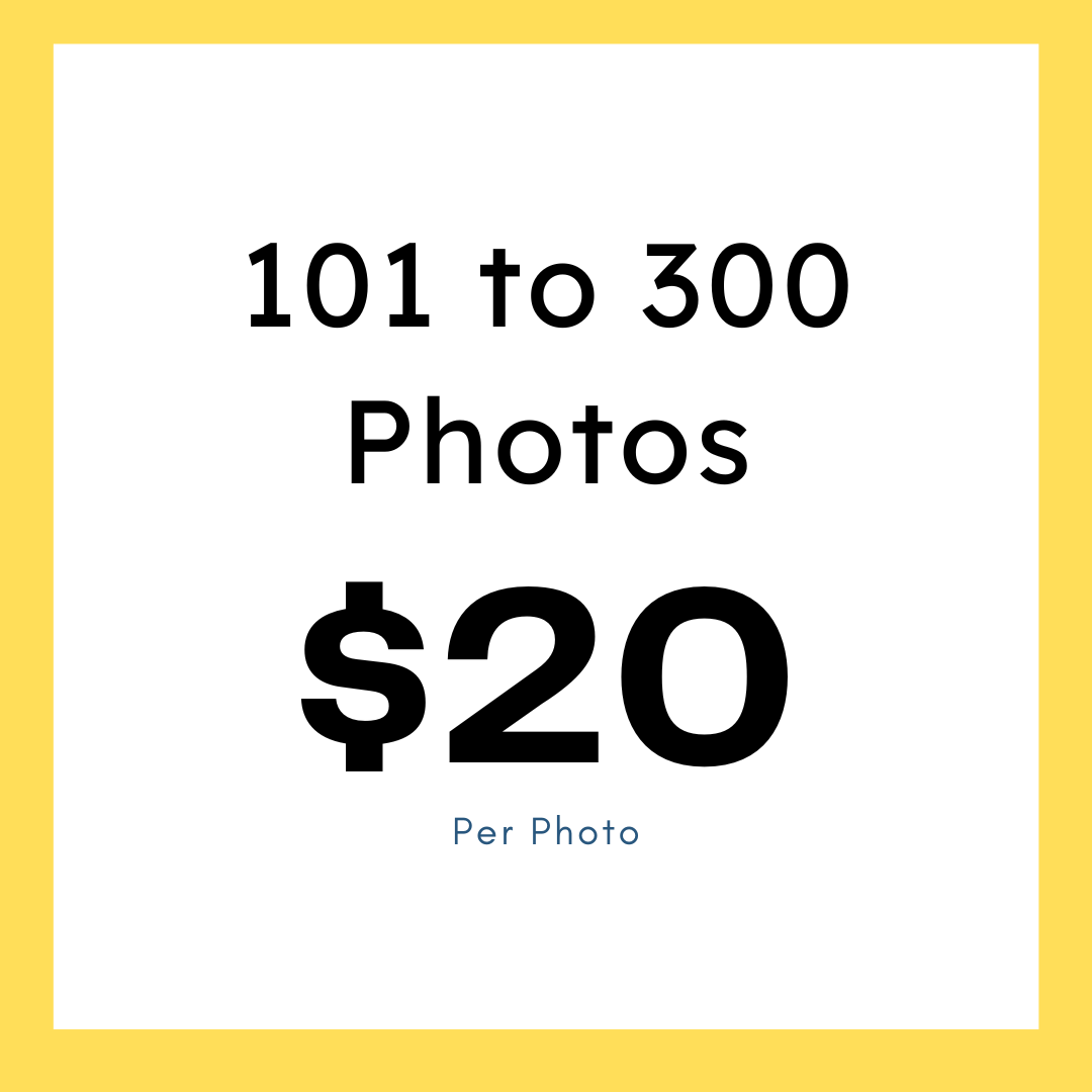 101+to+300+20$ Per Photo