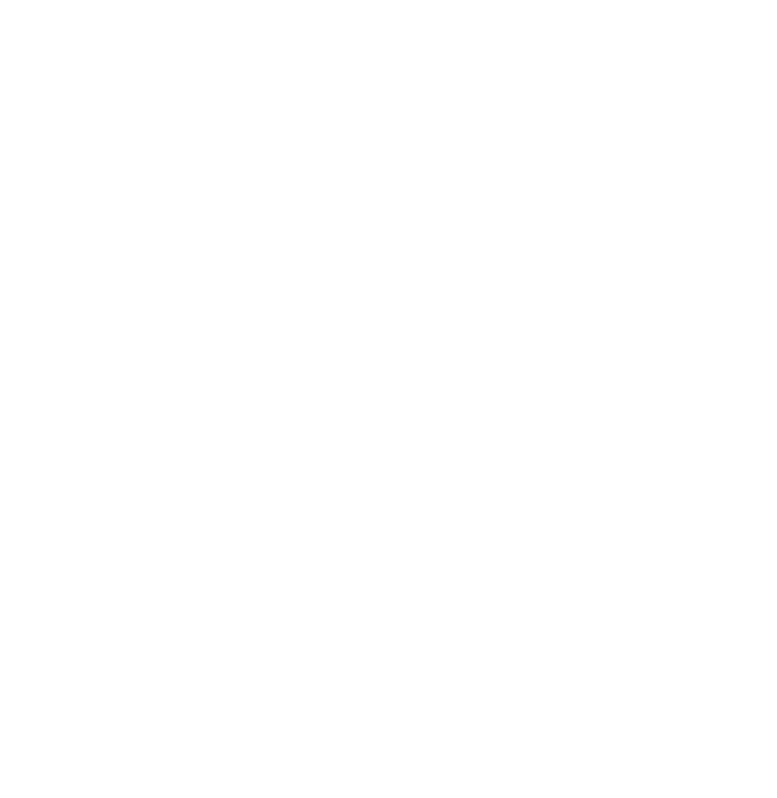 THE X PROJECT