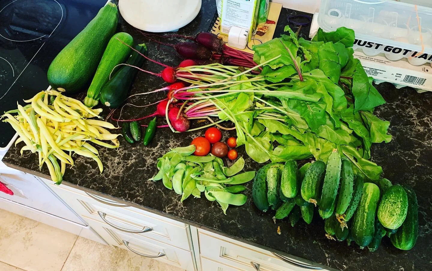 Gallery — Cedar Grove Farms