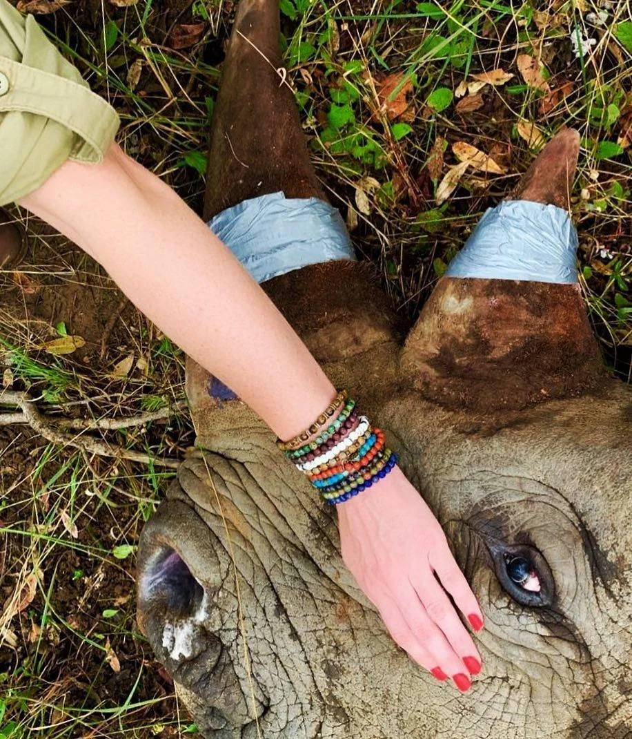 Rhino Regaining Conciousness.jpg