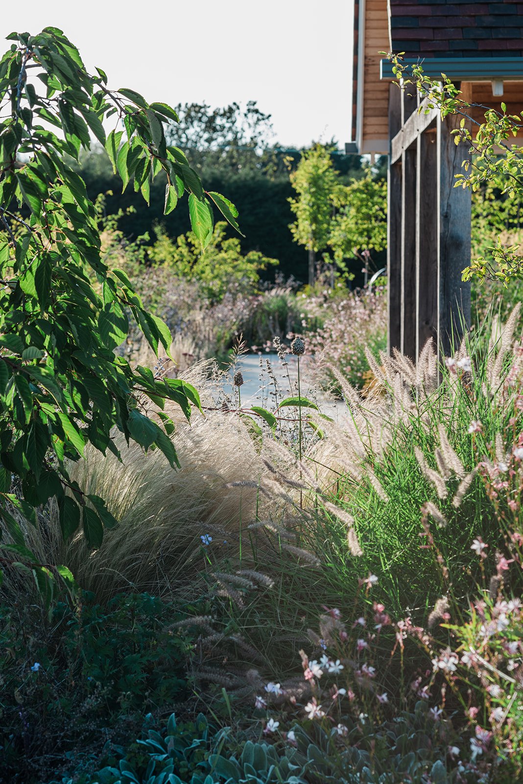 freear-and-fitch-courtyard-garden-design-in-dedham-by-rebecca-lewis-at-poshyarns-photography-51_websize.jpg