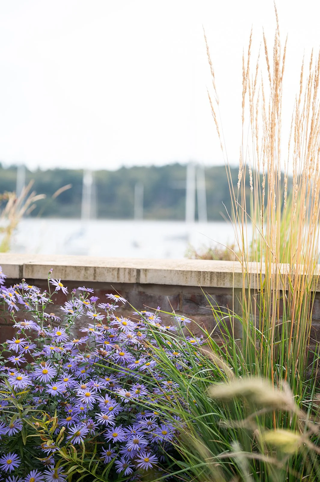 Contemporary Riverside Garden Design - Bedding