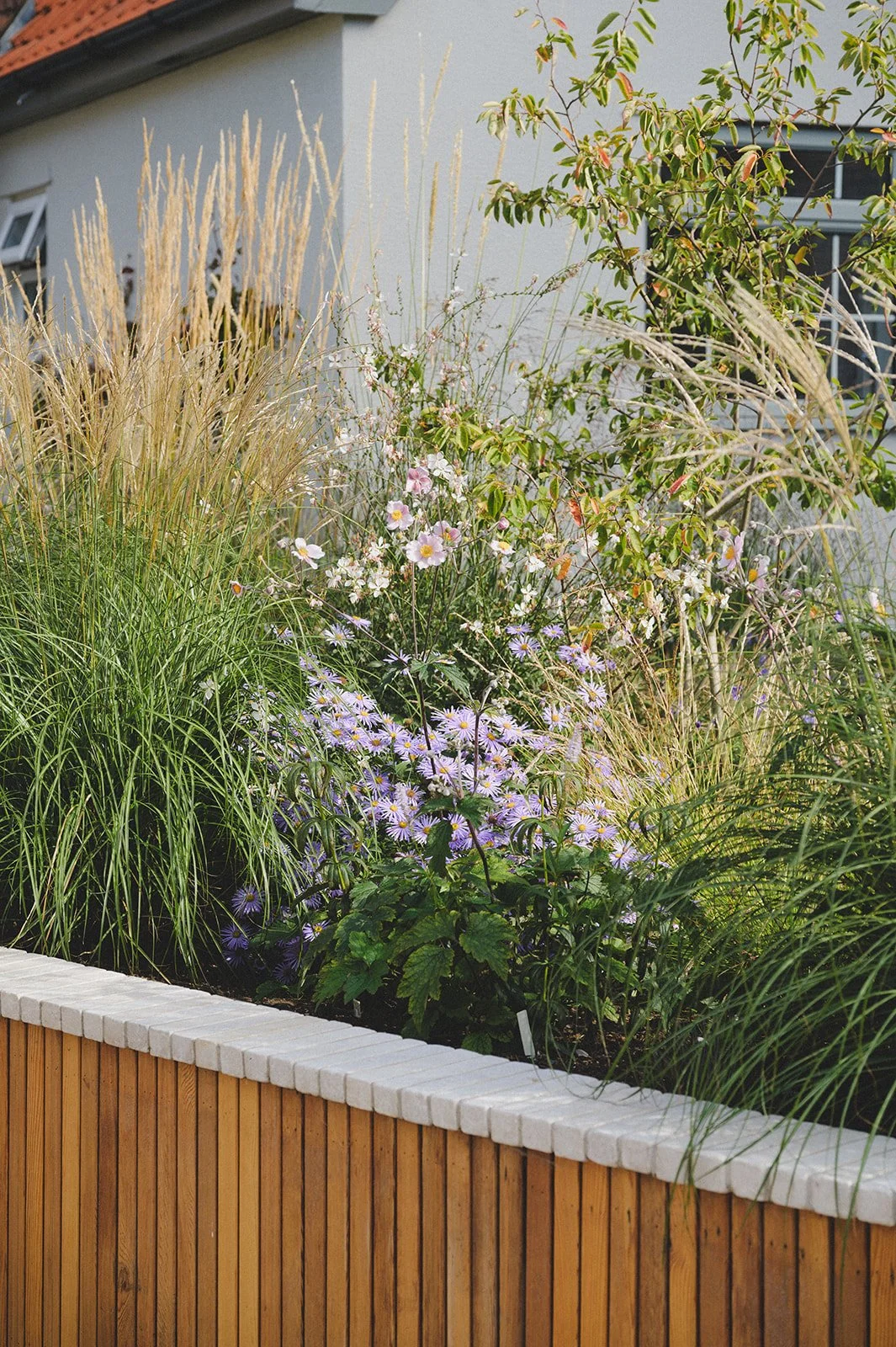 Contemporary Riverside Garden Design - Bedding