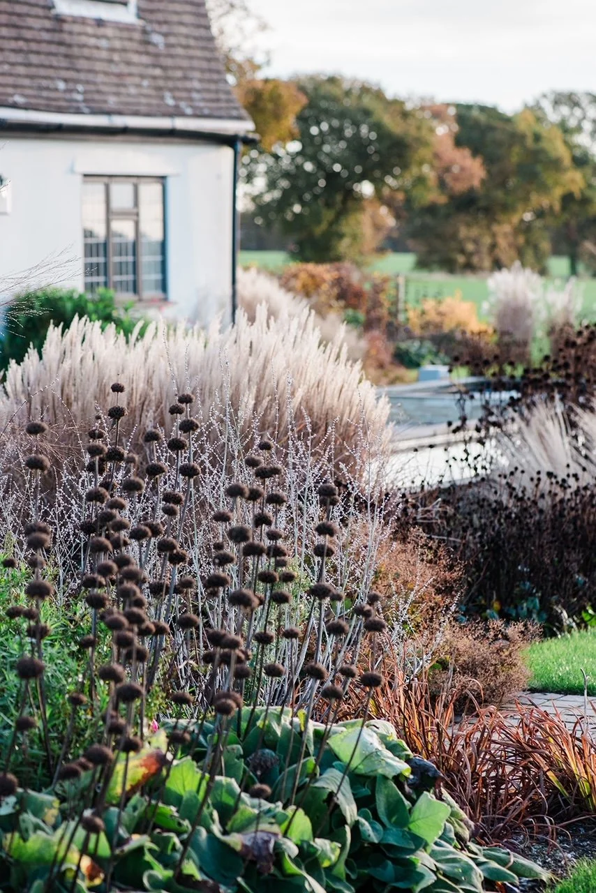 garden-photography-for-freear-and-fitch-designers-in-essex-by-rebecca-lewis-at-poshyarns-photography-139.jpg