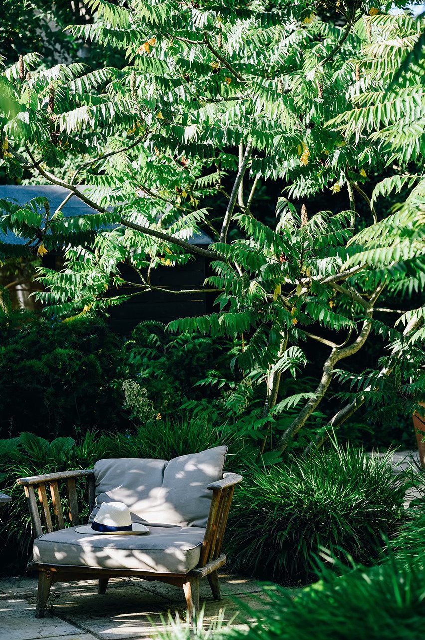Contemporary Garden, Holbrook: Redesign