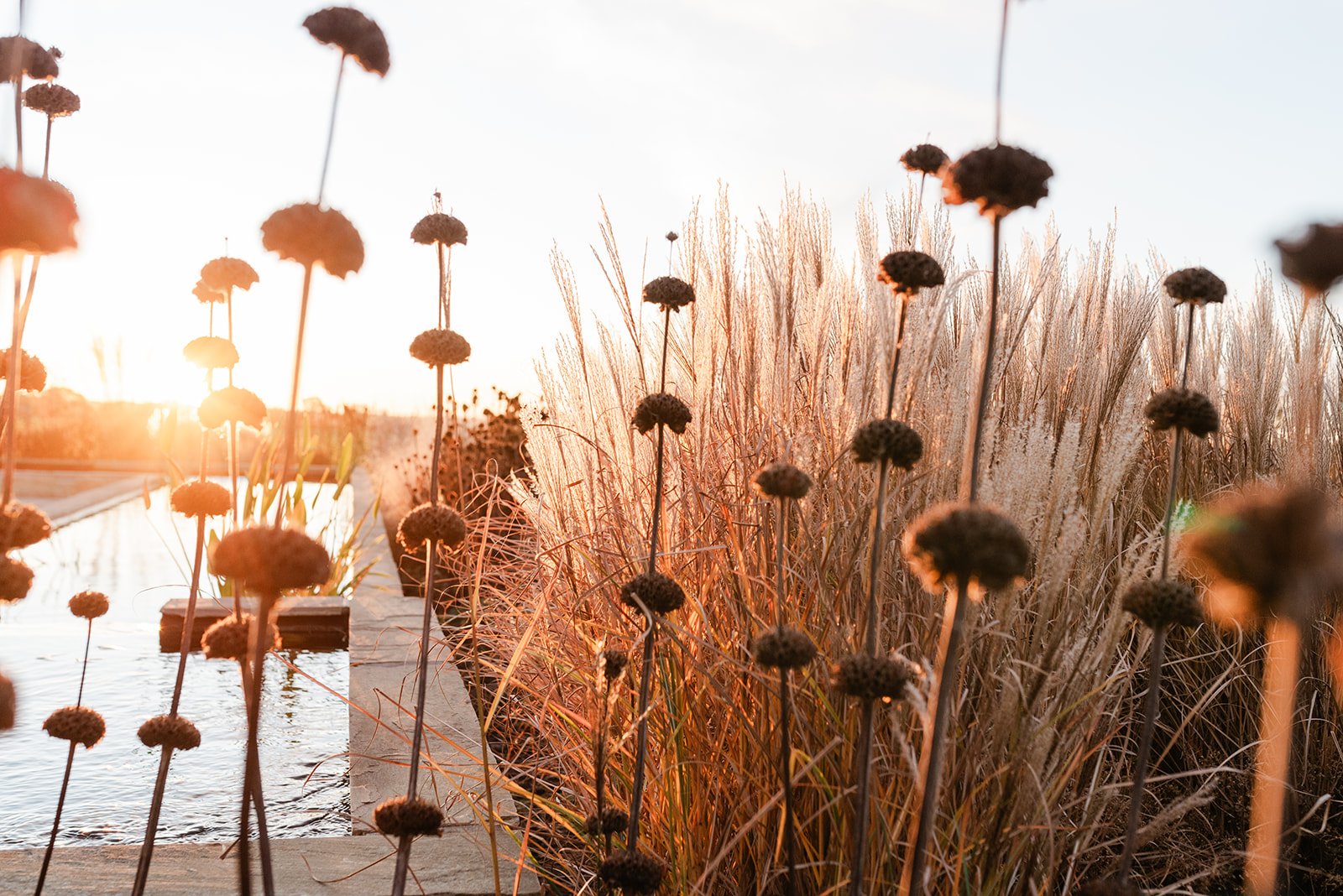 garden-photography-for-freear-and-fitch-designers-in-essex-by-rebecca-lewis-at-poshyarns-photography-14_websize.jpg