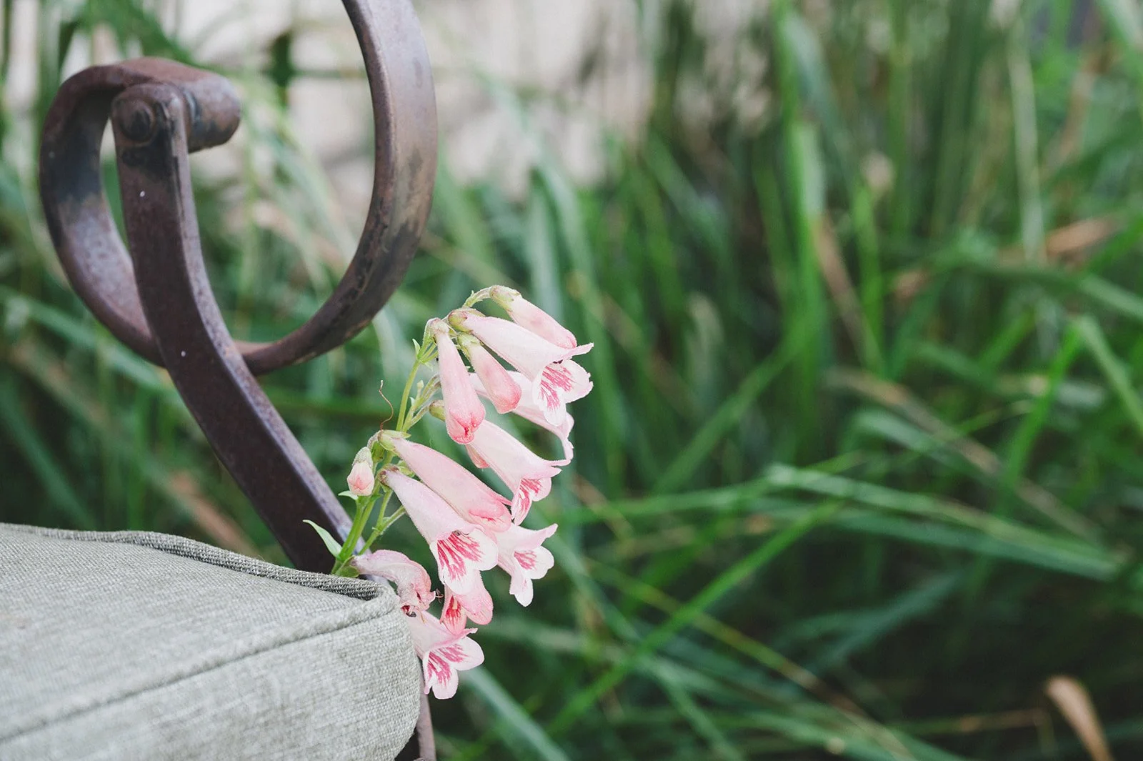Contemporary Riverside Garden Design - detail