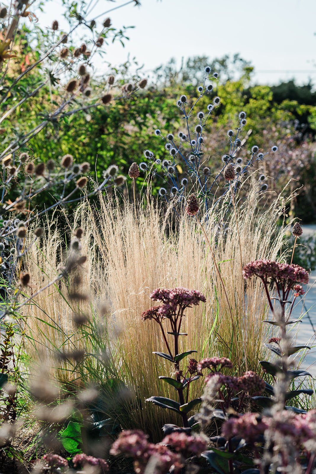 freear-and-fitch-courtyard-garden-design-in-dedham-by-rebecca-lewis-at-poshyarns-photography-17_websize.jpg