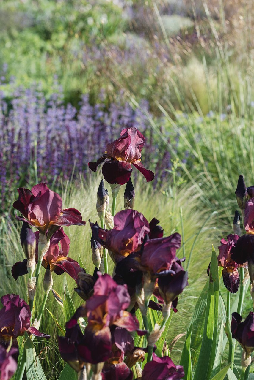 freer-and-fitch-garden-design-pond-house-by-rebecca-lewis-poshyarn-photography-58.jpeg