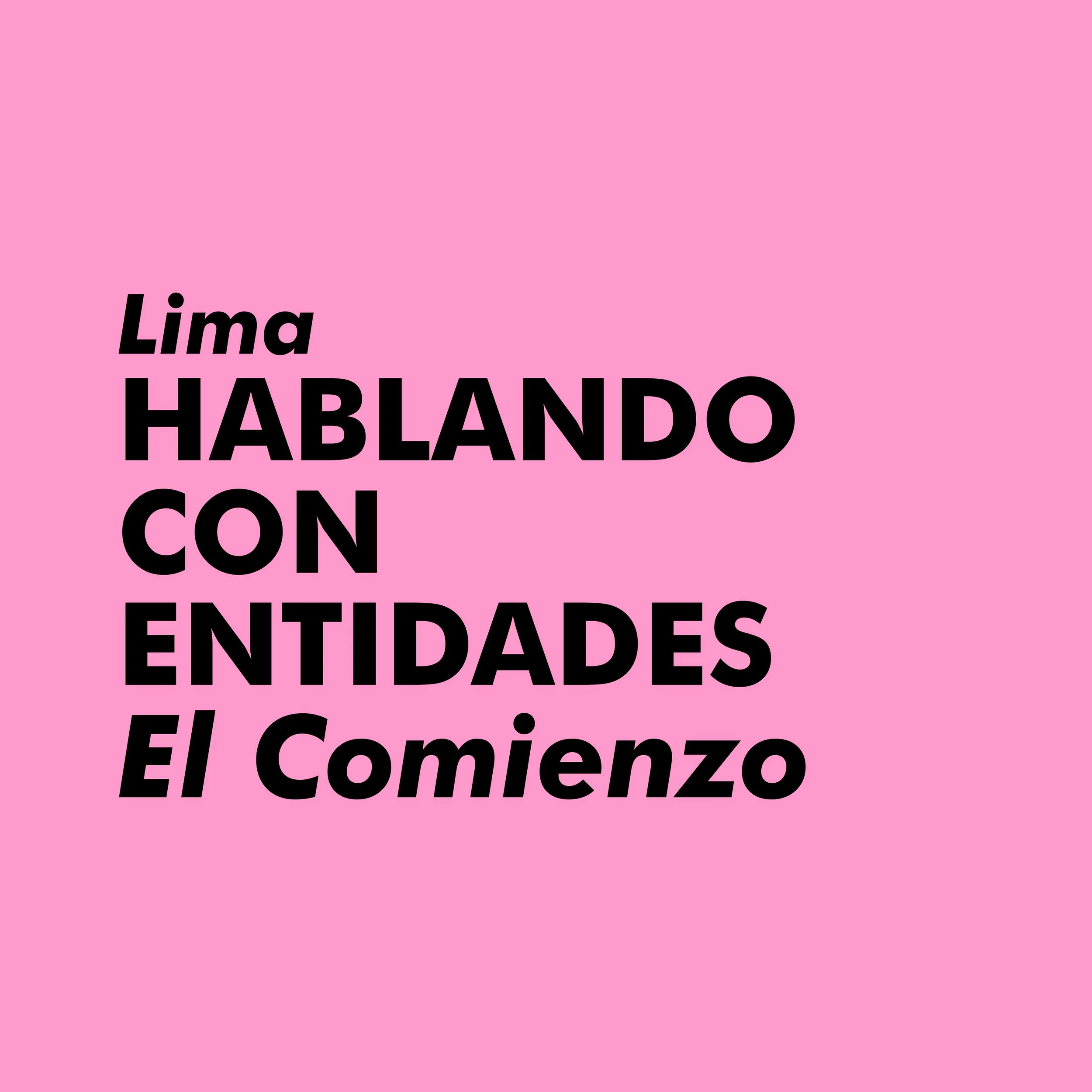 HABLANDO CON LAS ENTIDADES. EL COMIENZO | LIMA