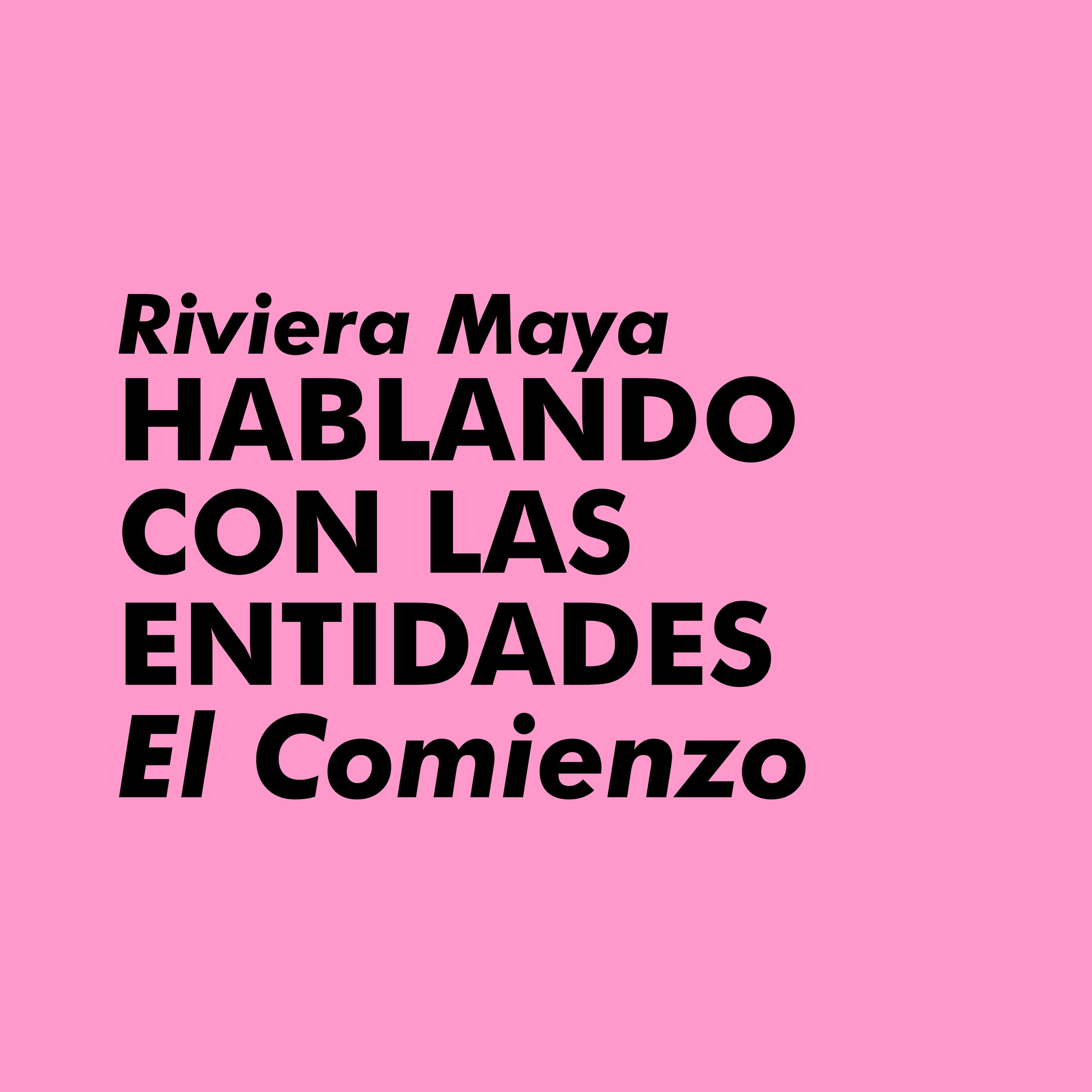 HABLANDO CON LAS ENTIDADES. EL COMIENZO | Riviera Maya