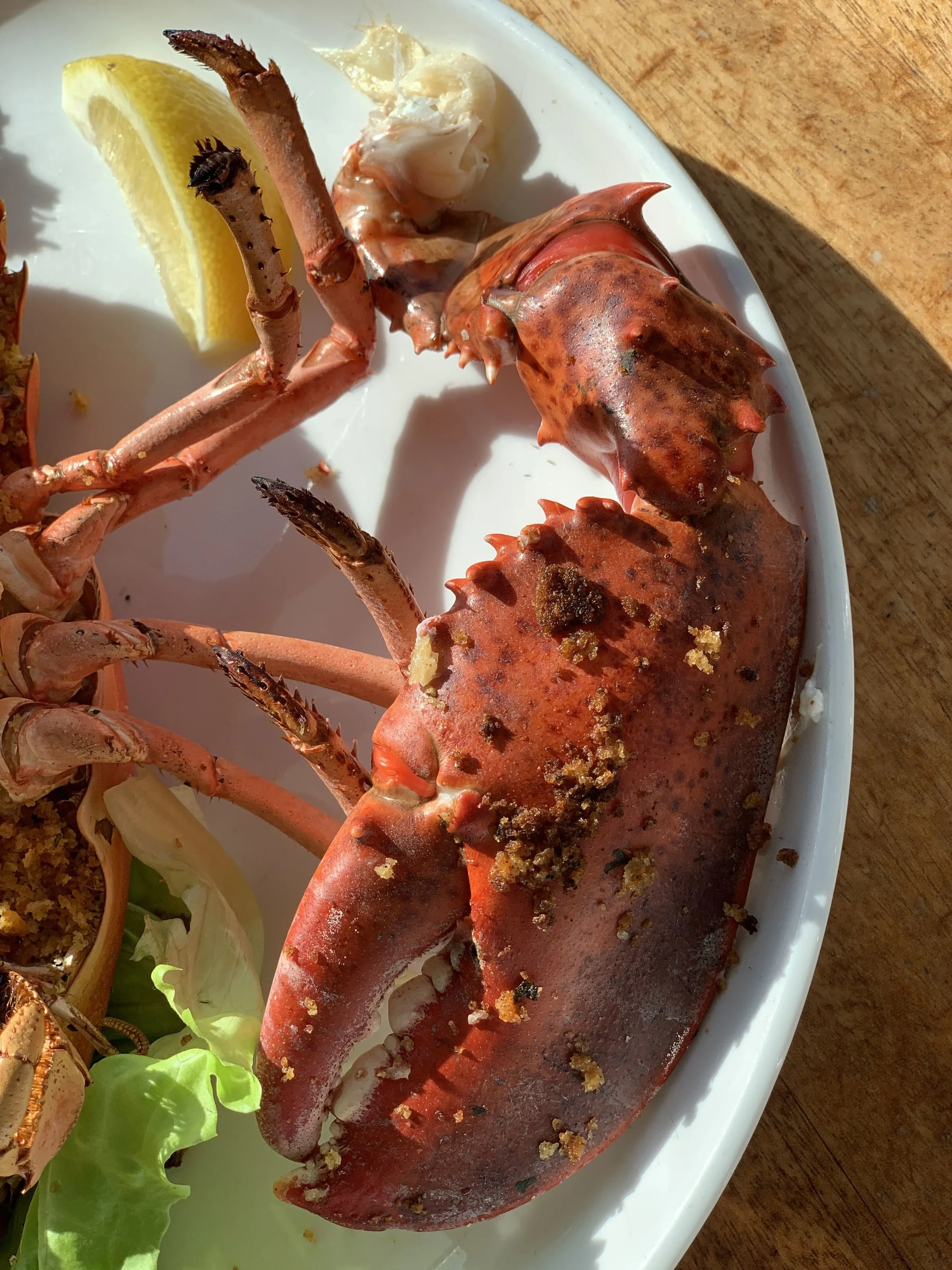 Sunshine and Seafood in Los Roques, Venezuela