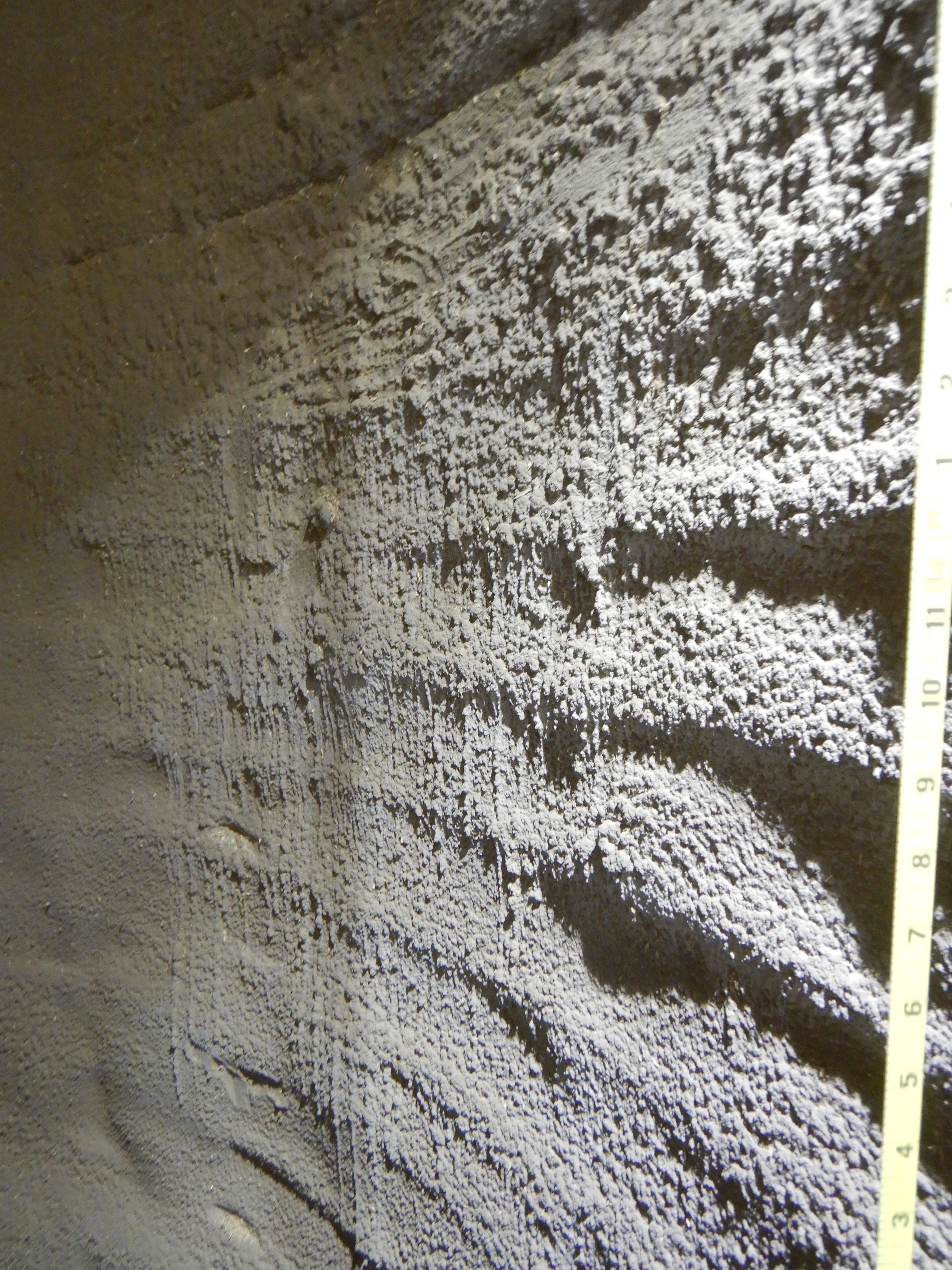 Silo Wall Repair Options