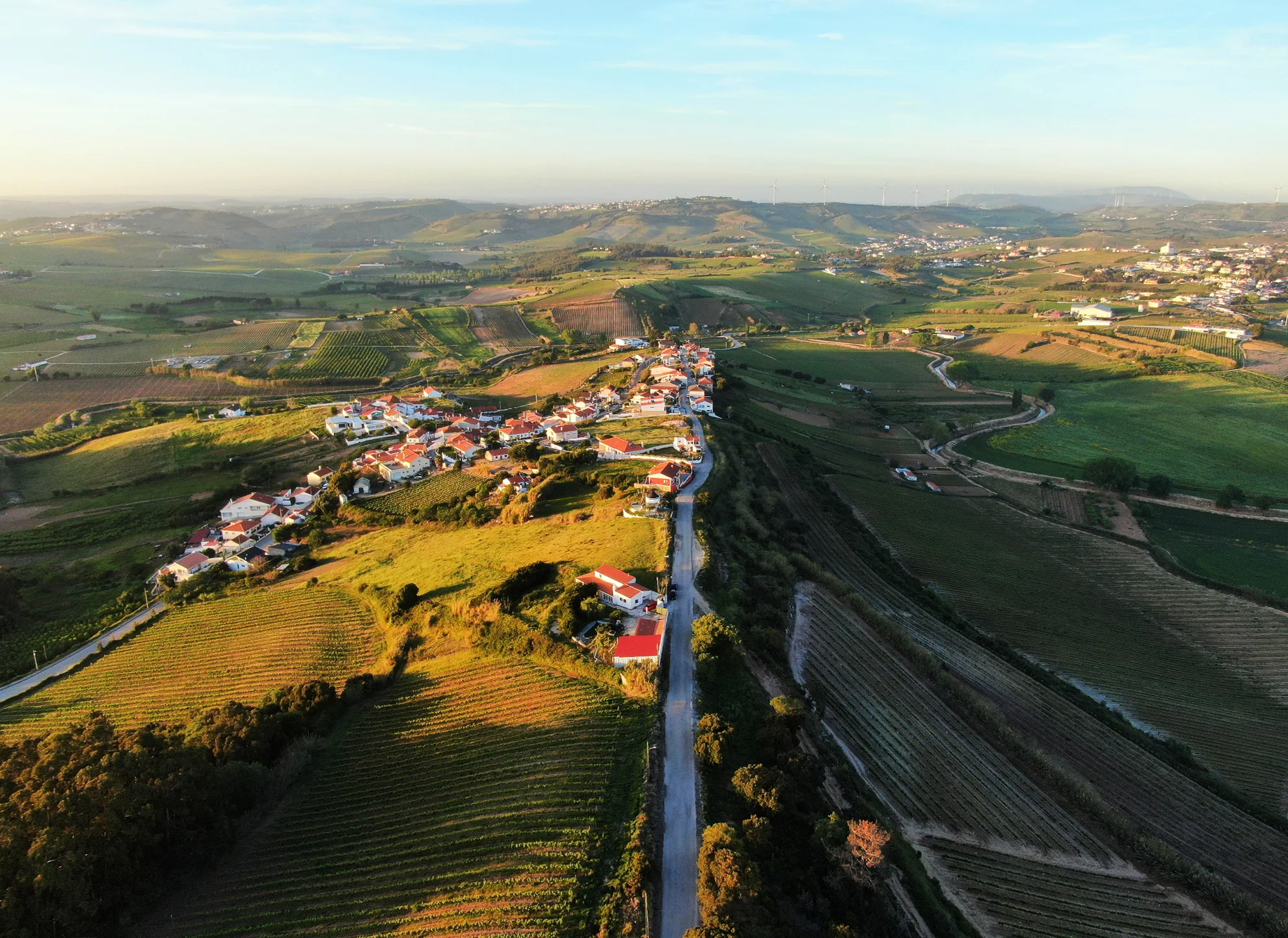 DJI_0384 retouched 3.jpg