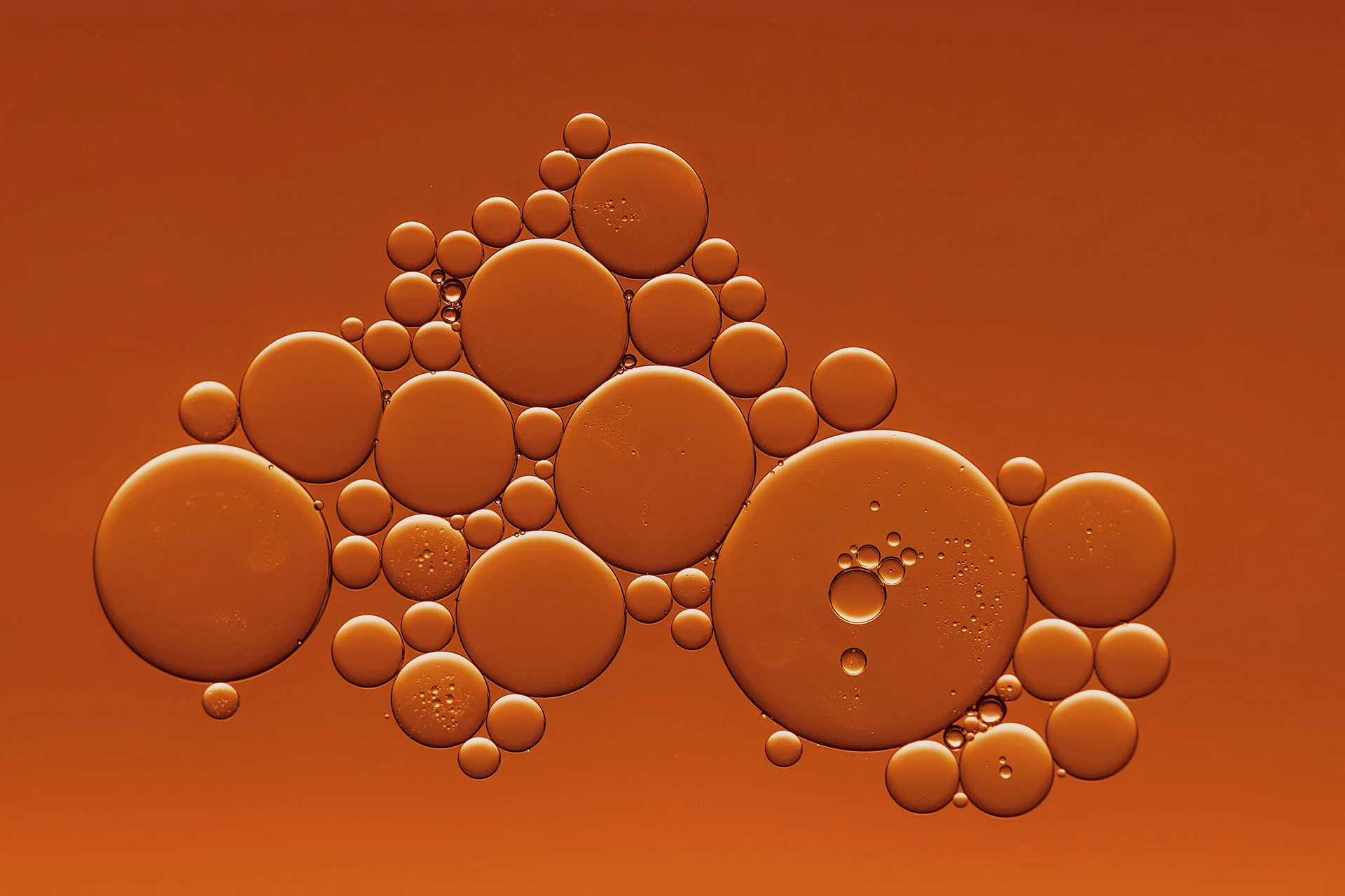 garcia-reinoso-chocolateria-extractos-liposolubles-1920px.jpg