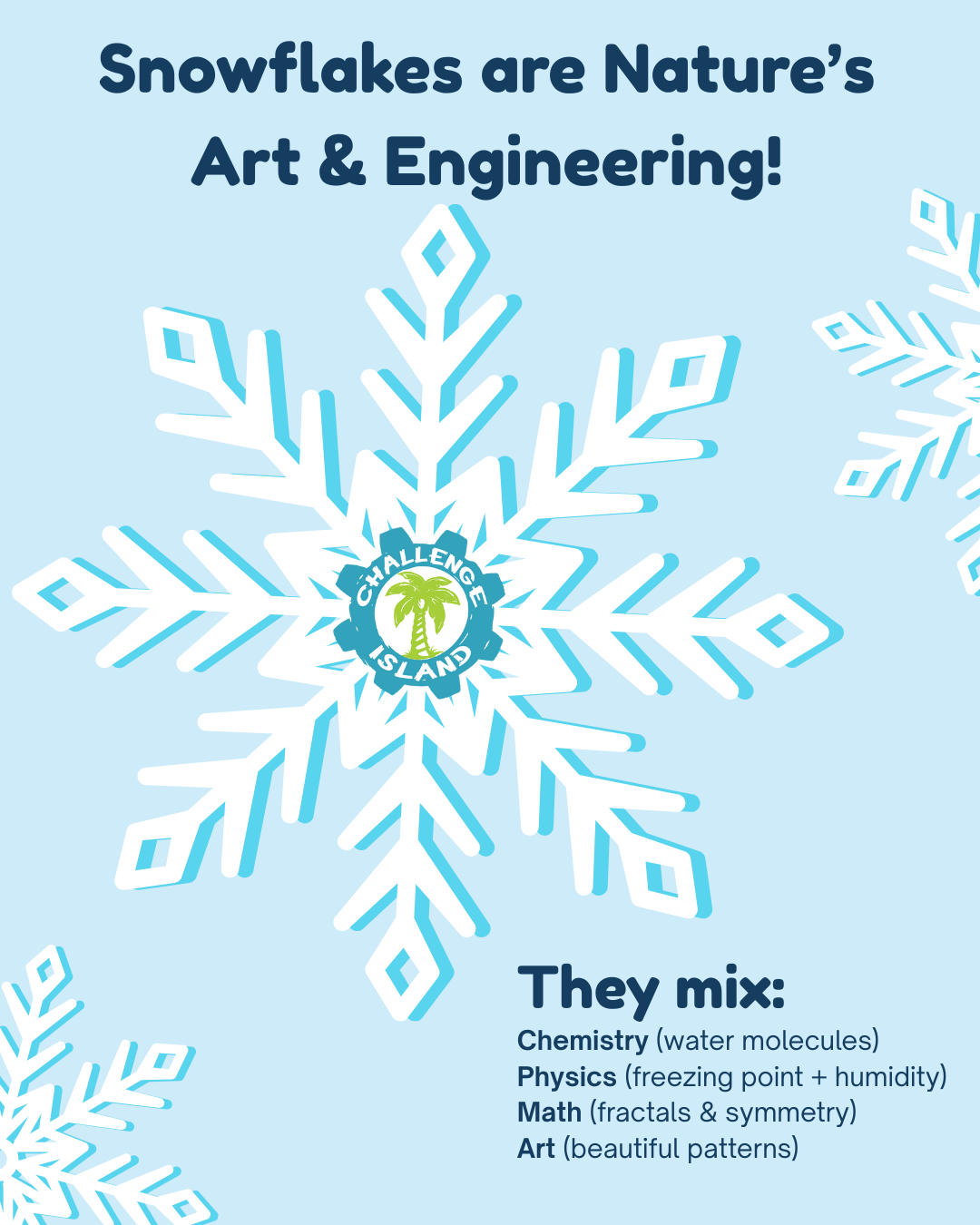 12_27 - Snowflakes and STEAM.png