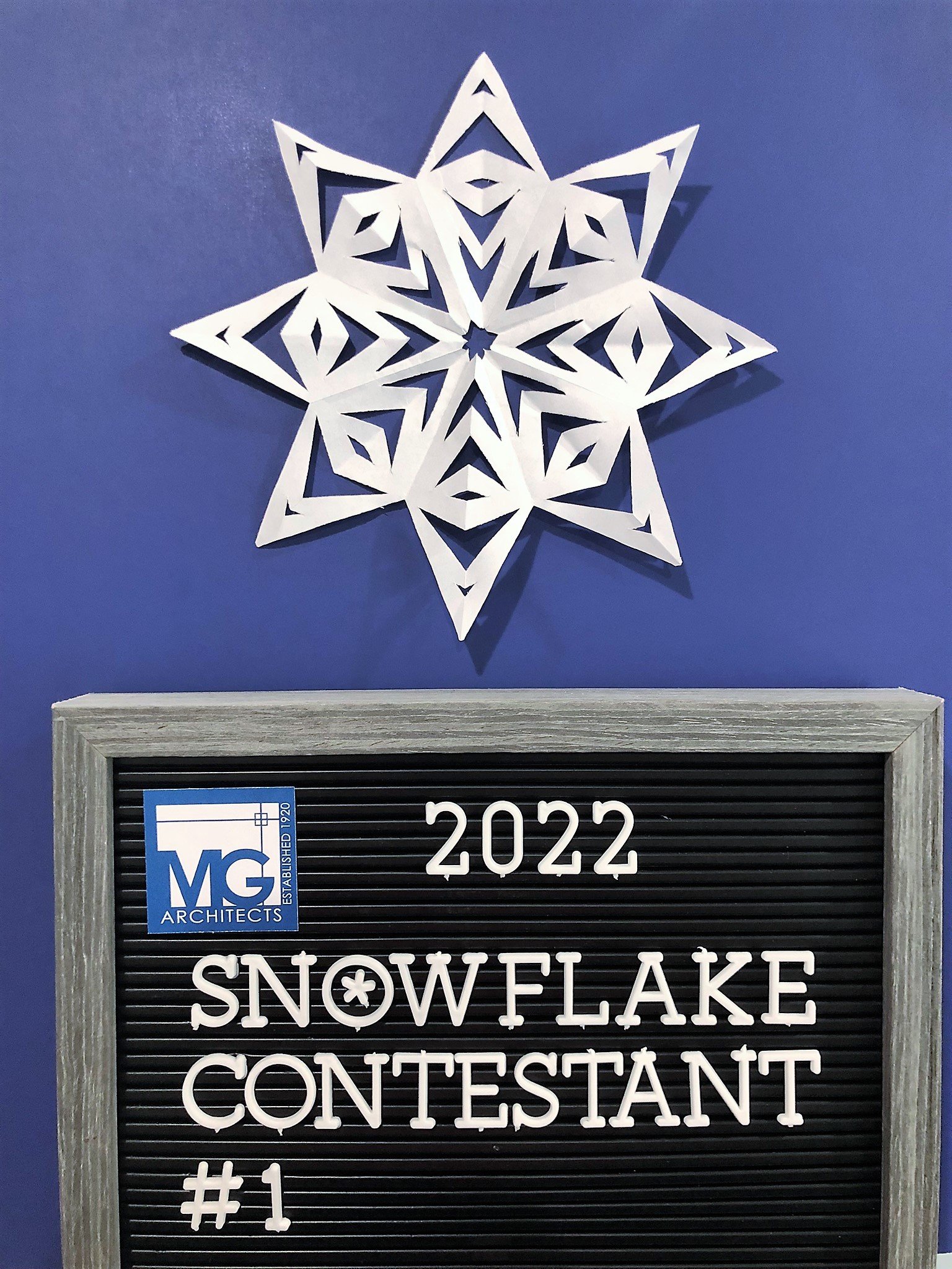 2022-Snowflake-1.jpeg