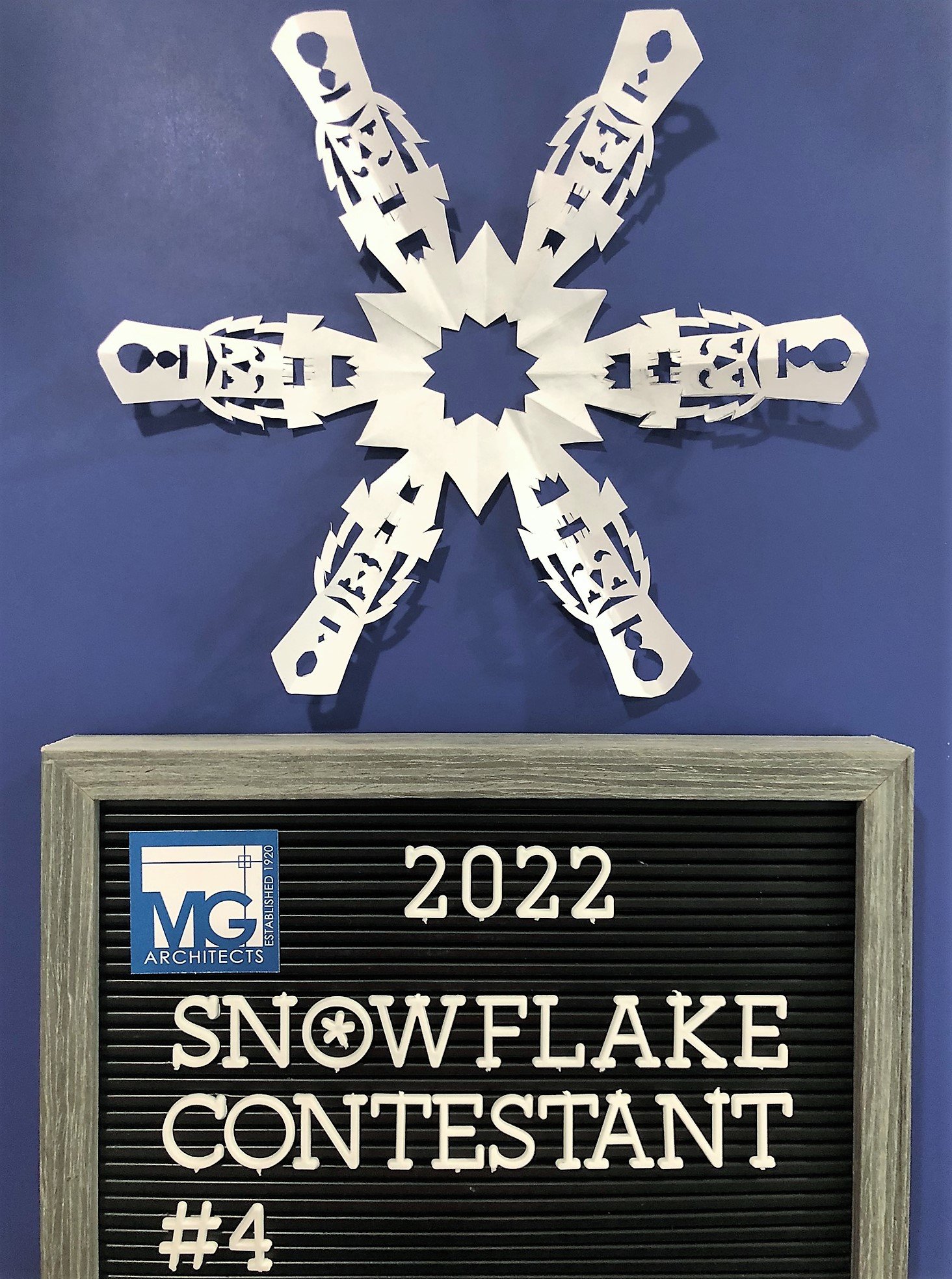 2022-Snowflake-4.jpeg