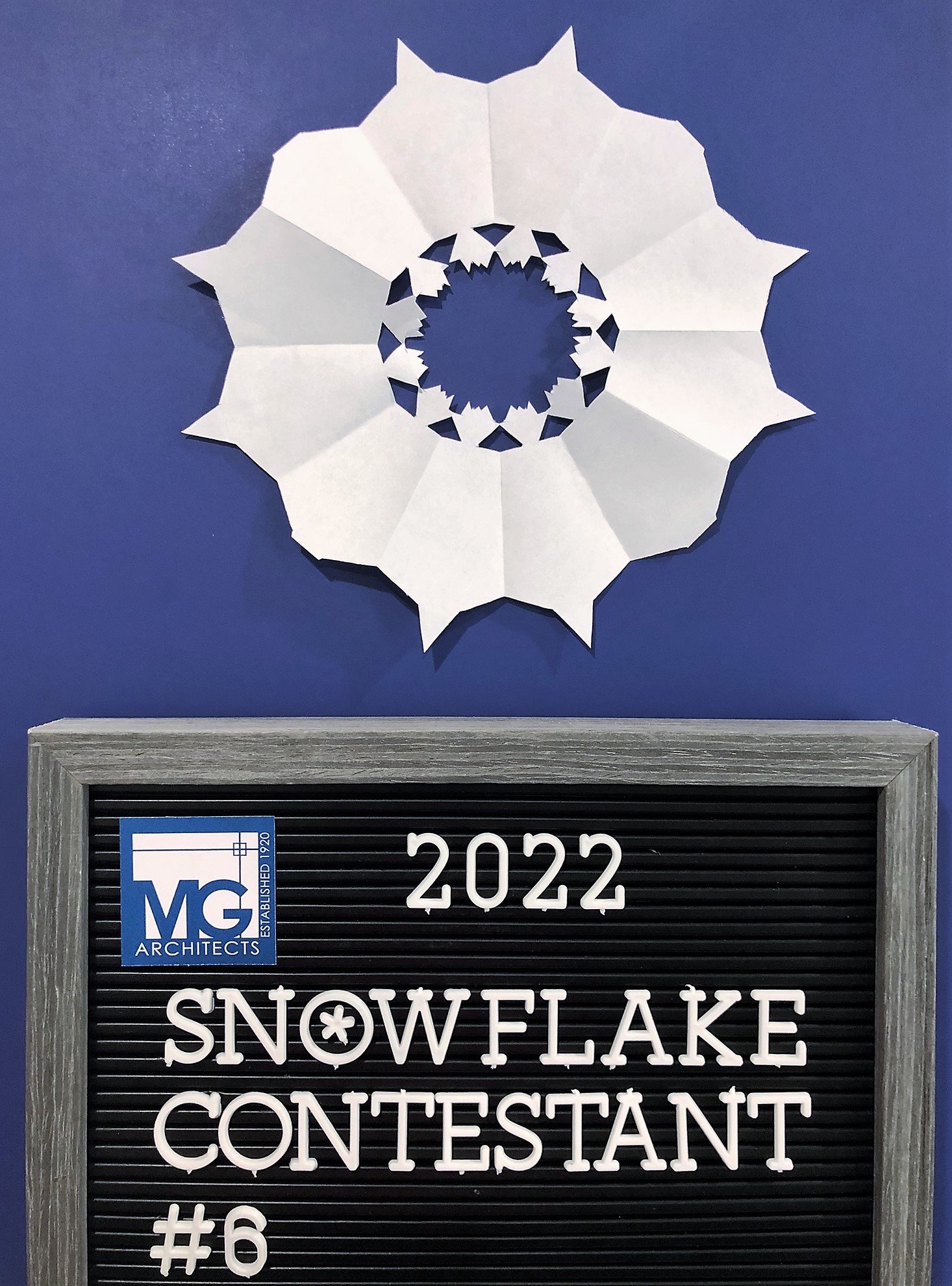 2022-Snowflake-6.jpeg